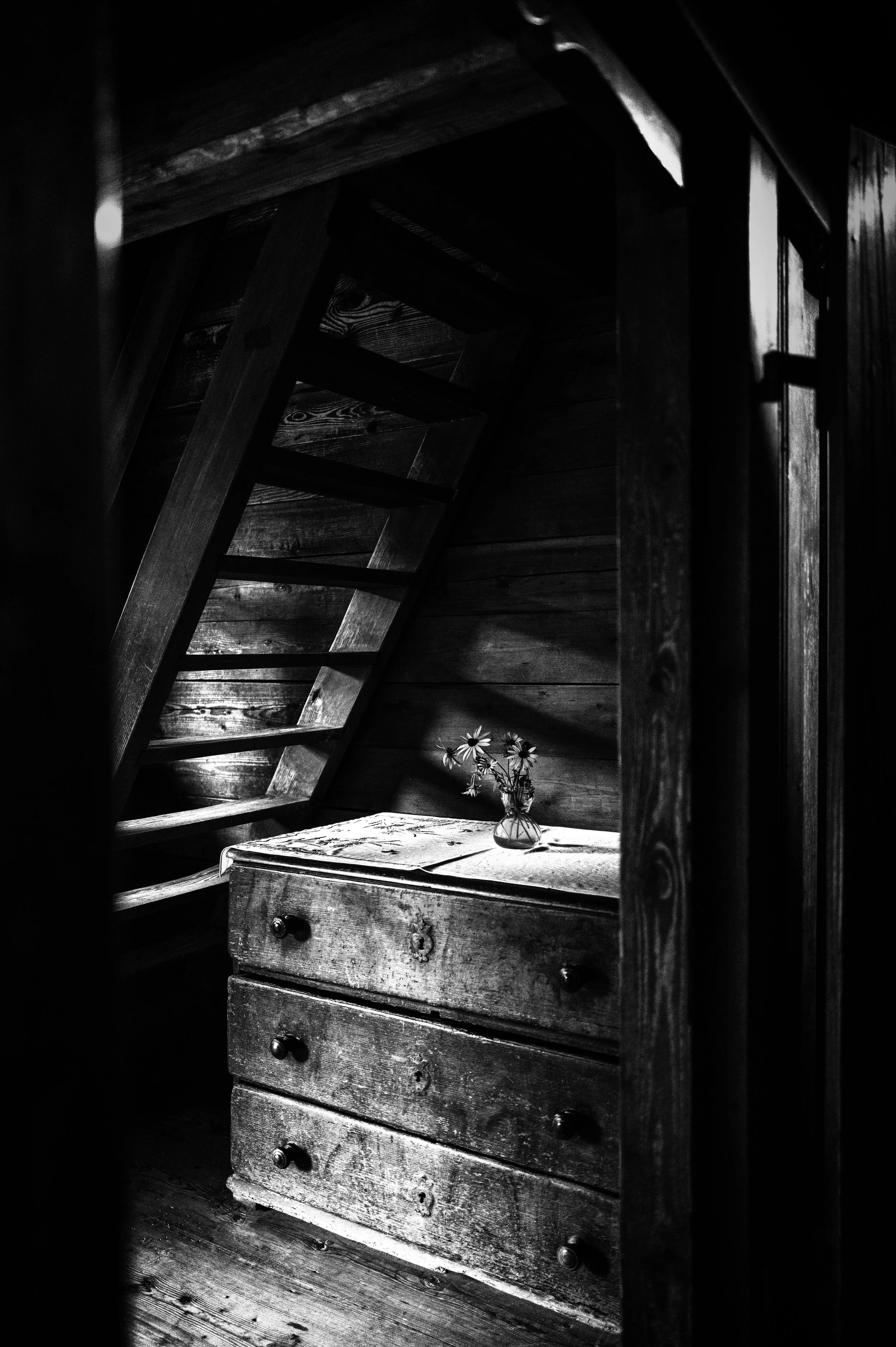 Absence