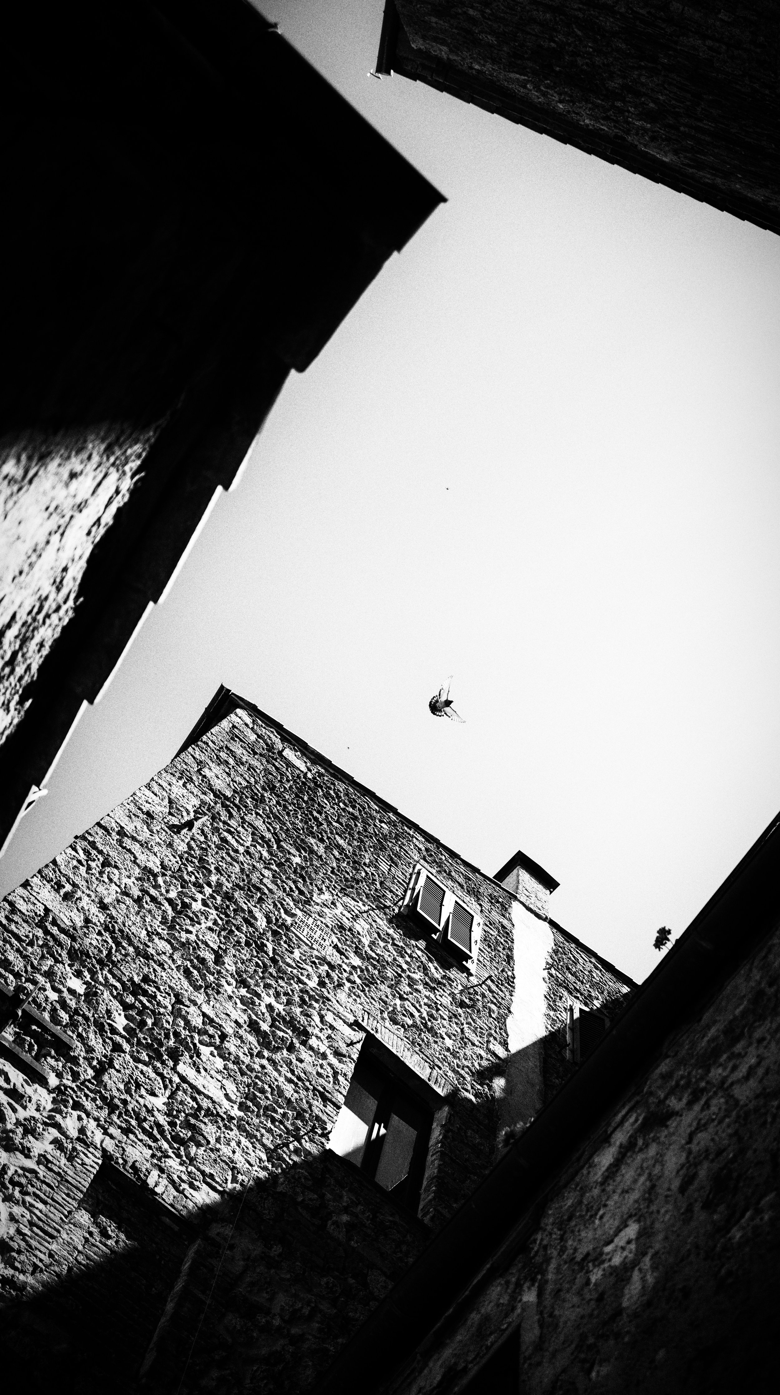 L1003086-Bearbeitet.jpg