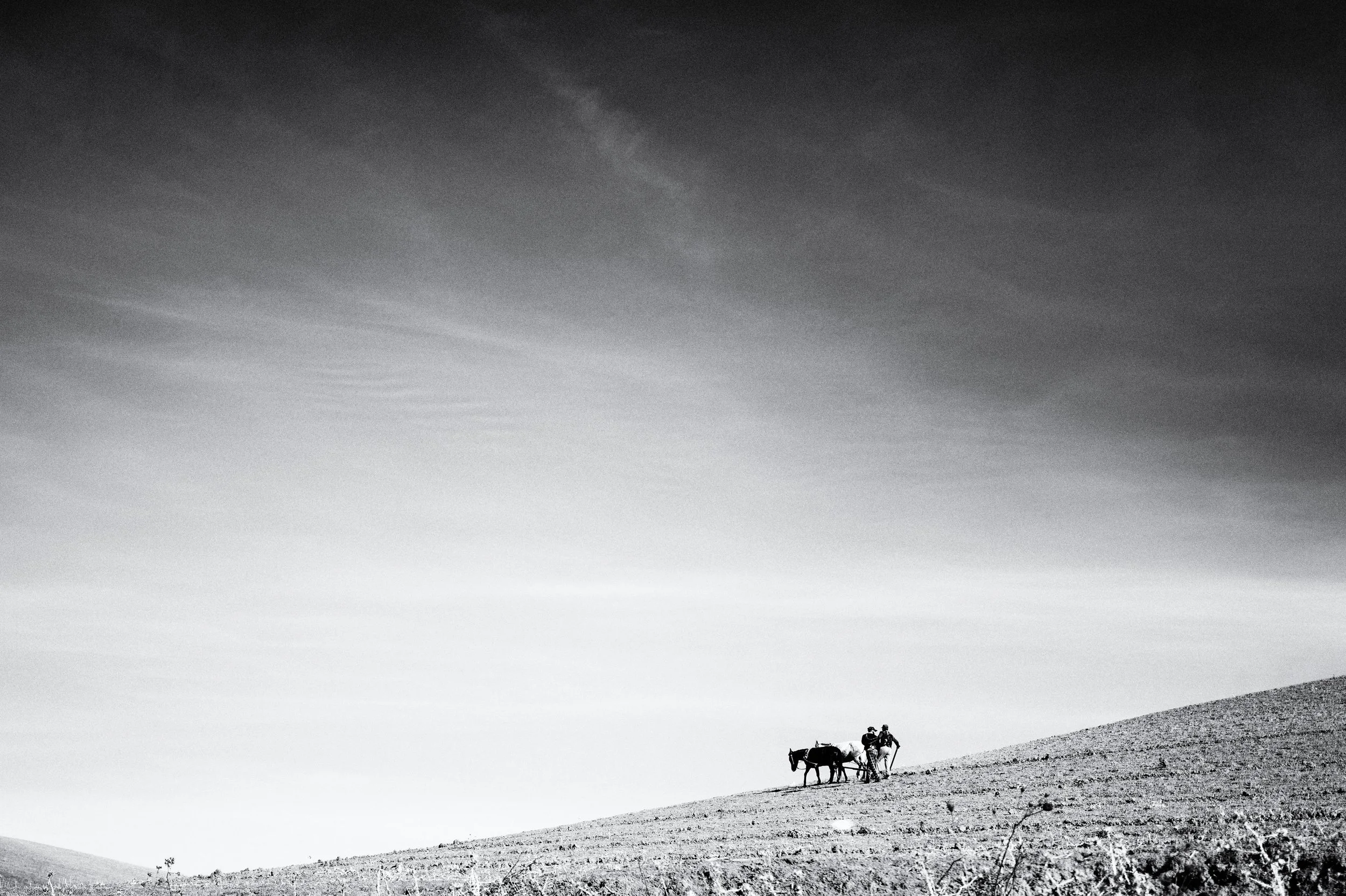 L1010790-Bearbeitet.jpg