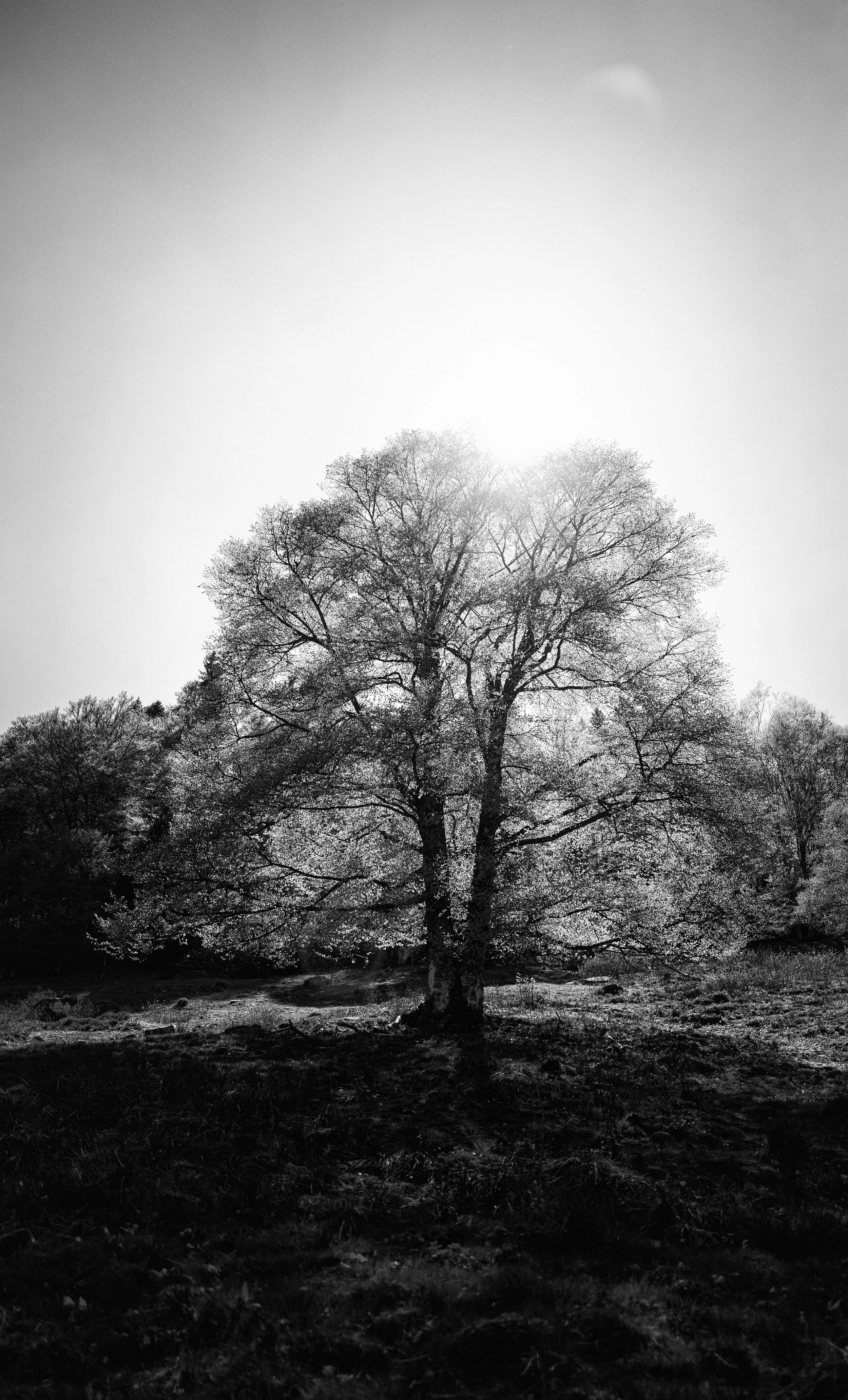 L1001927-Bearbeitet.jpg