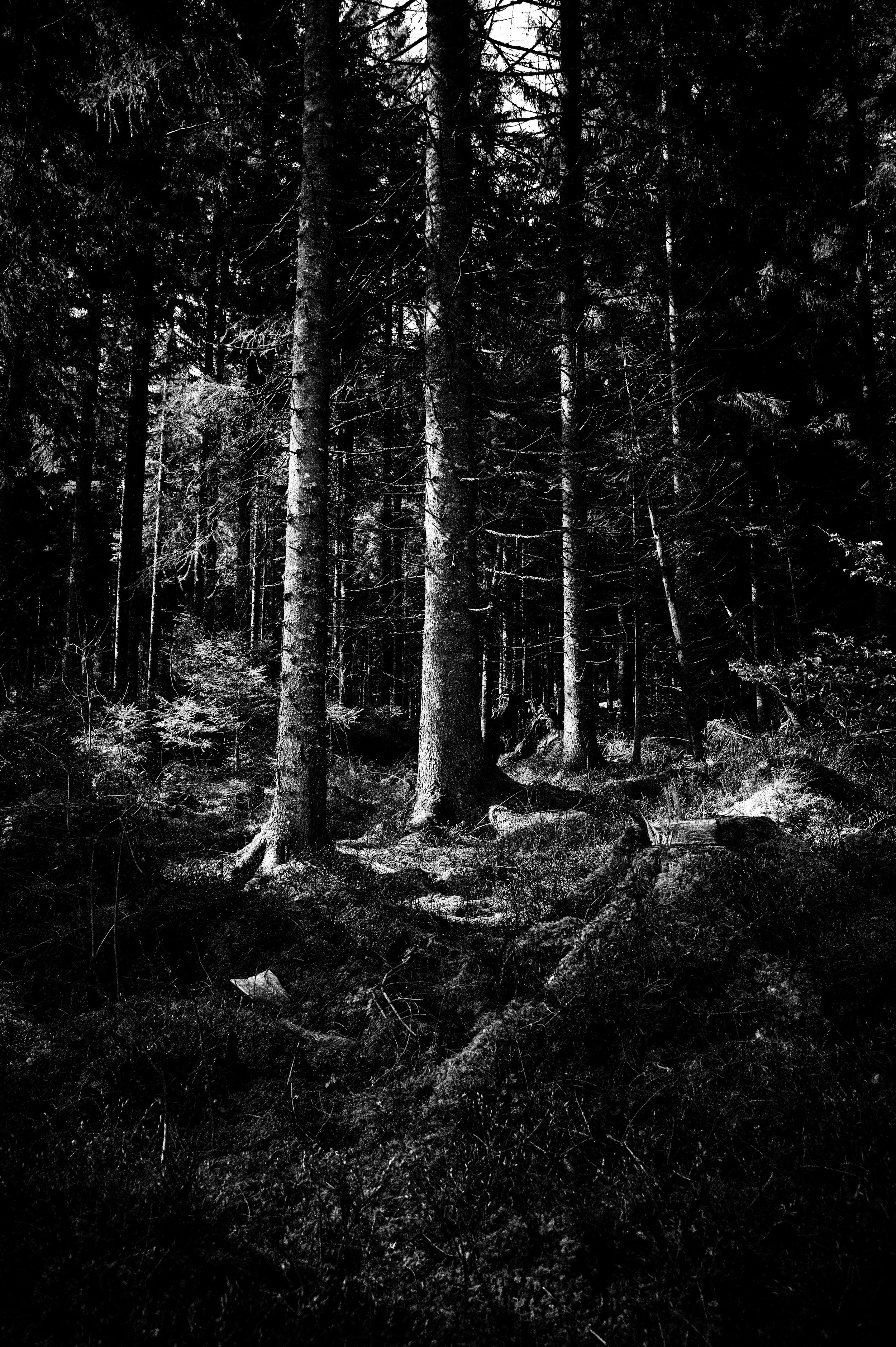 L1001903-Bearbeitet.jpg