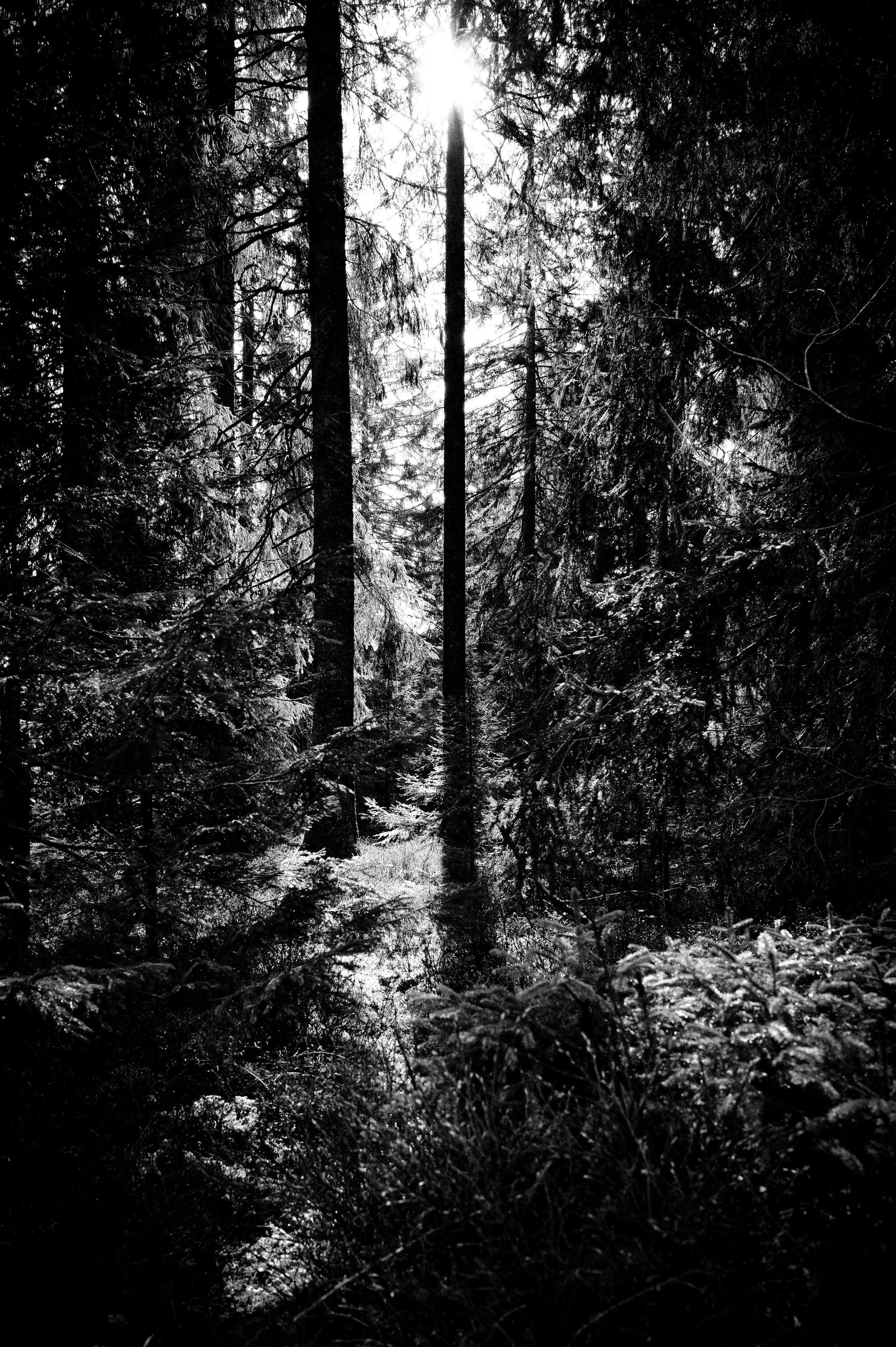 L1001888-Bearbeitet.jpg