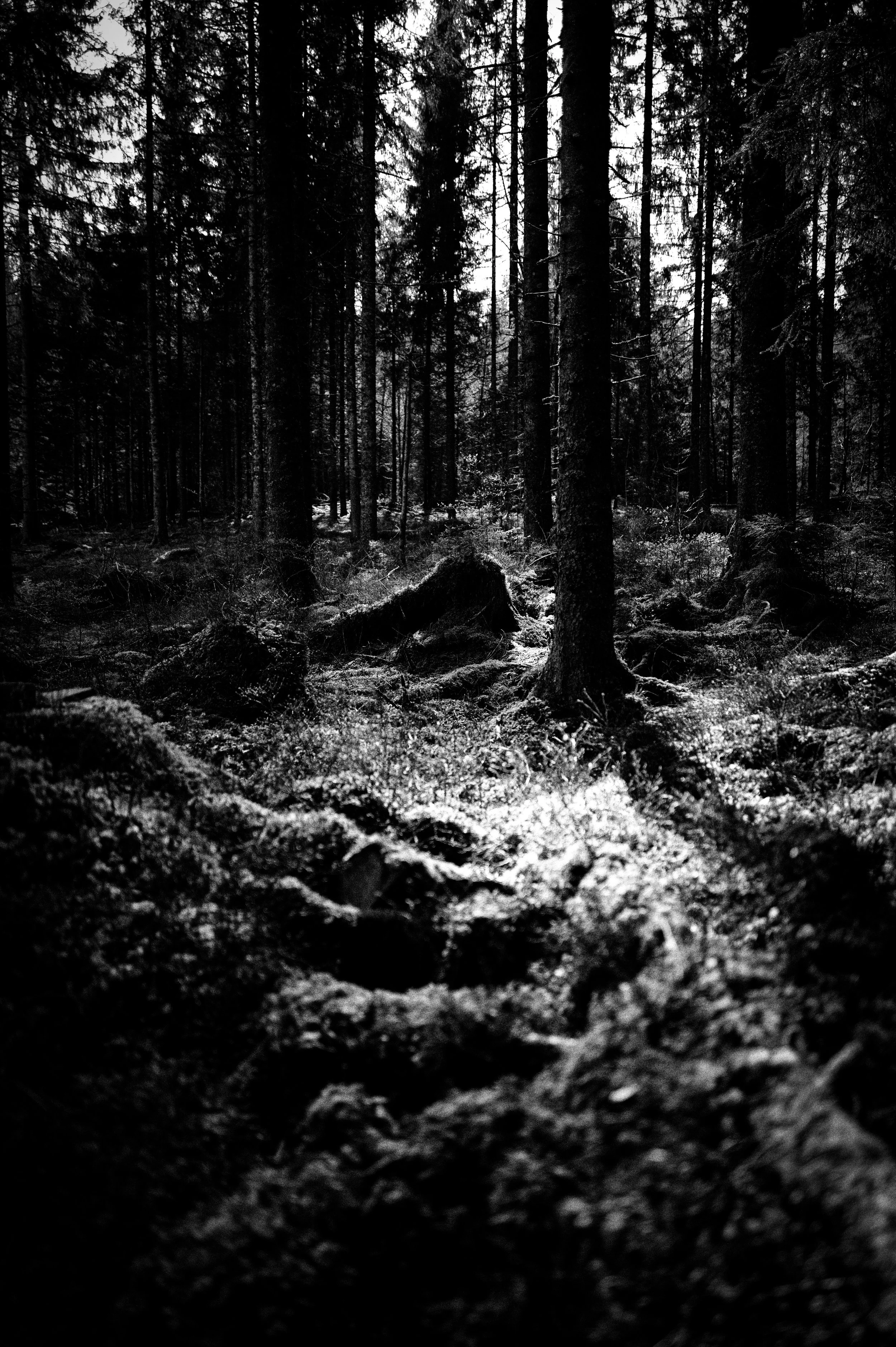 L1001917-Bearbeitet.jpg