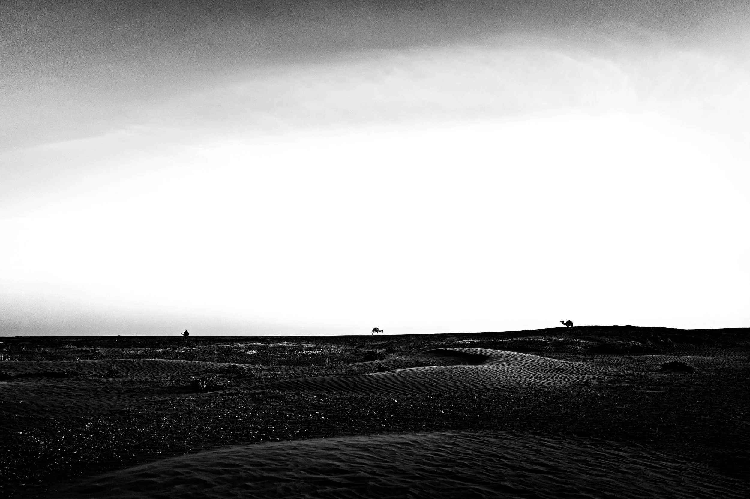 L1002403-Bearbeitet.jpg