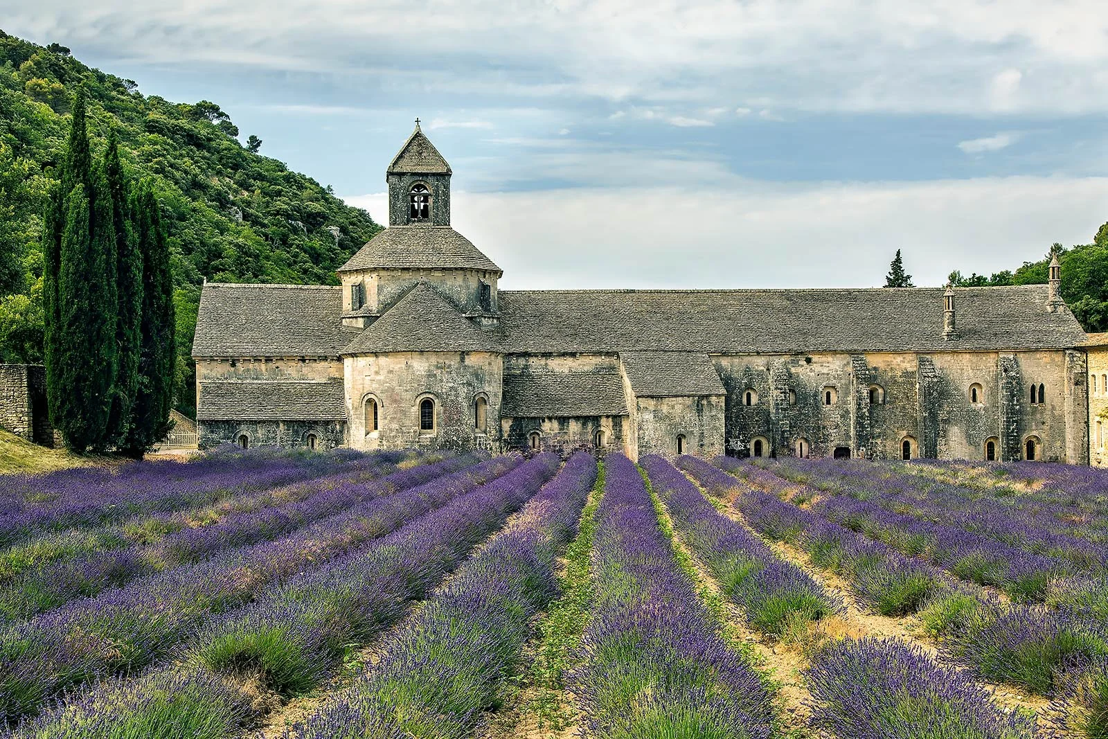 Senanque.jpg