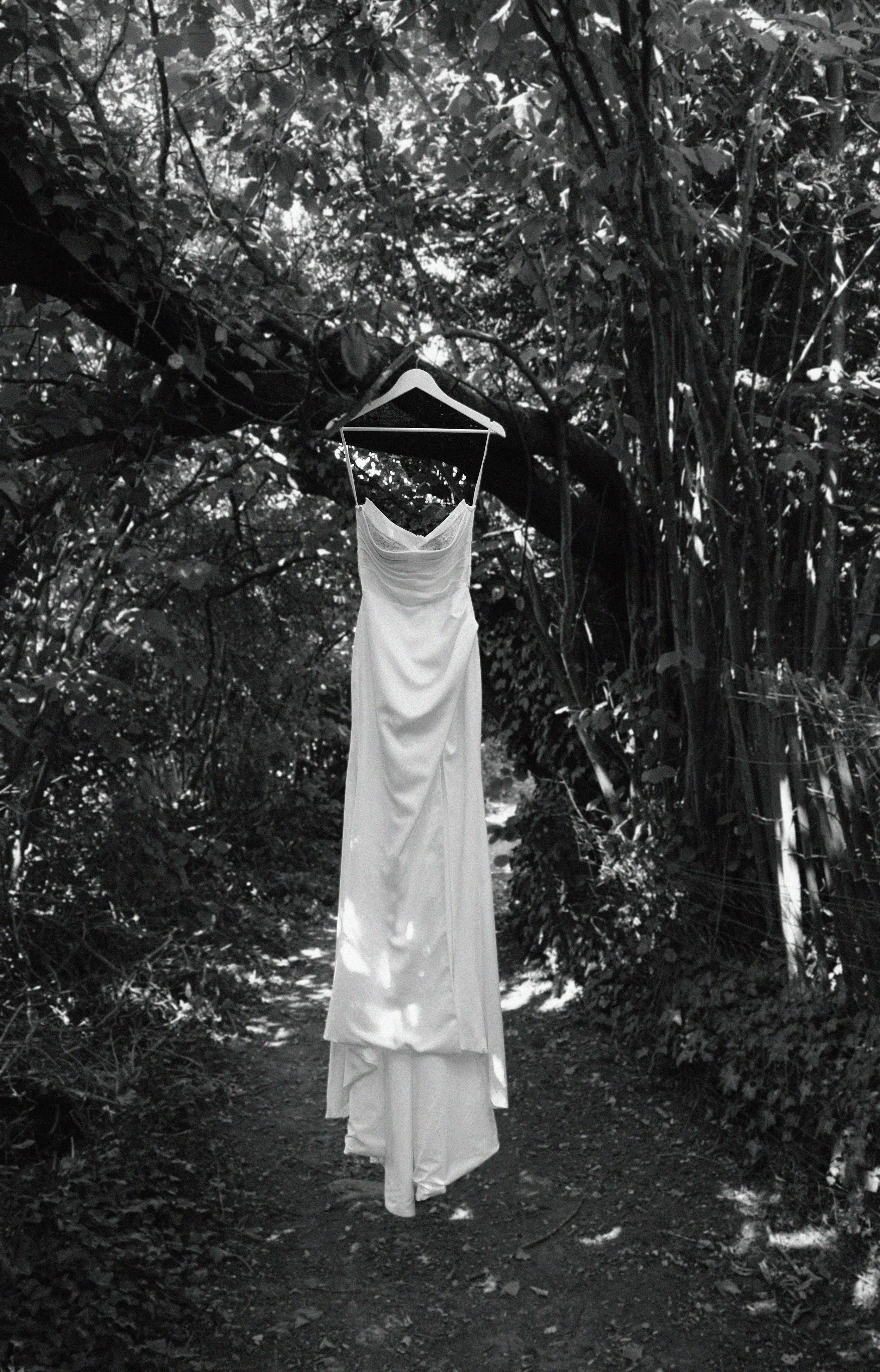 Une robe de mariage blanche suspendue à un cintre accroché à une branche d'arbre dans une forêt, en couleur monochrome