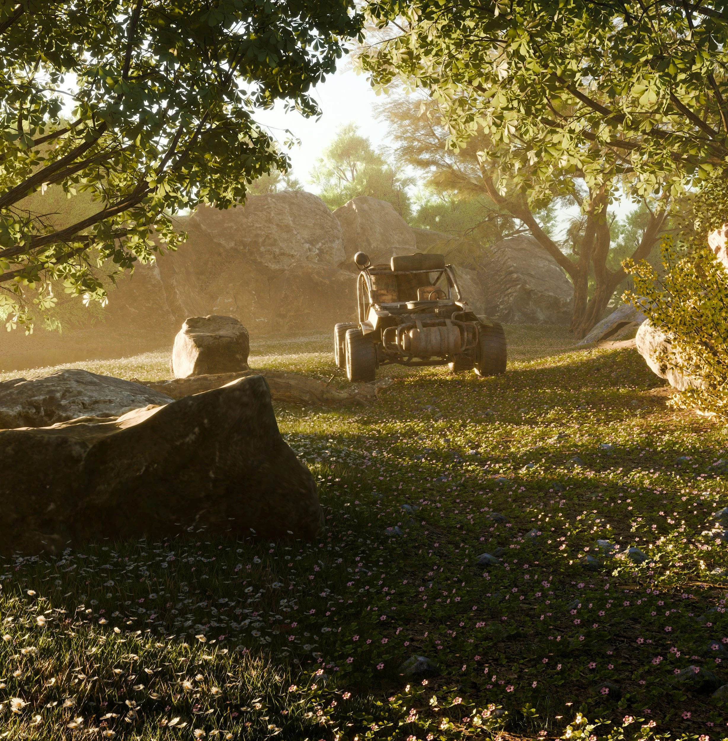 A scenic view of trees with sunlight filtering through the leaves, rocks on the ground, and a vintage tractor in a peaceful, natural setting.