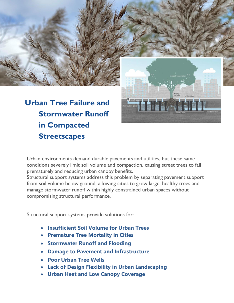 Structural Support Systems for sidewalks, plazas or parking lots