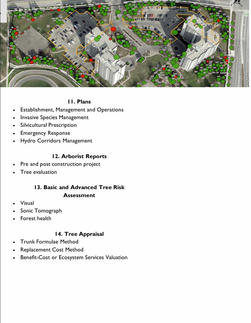 Forestry and Urban Forestry Consulting