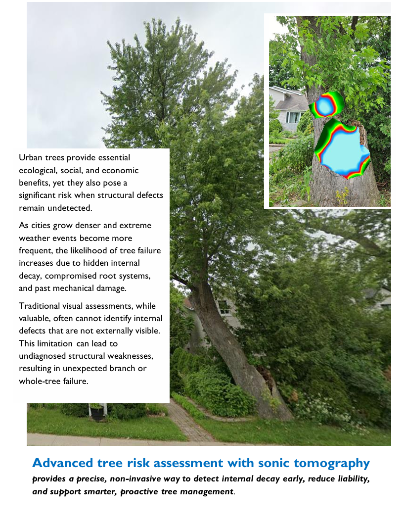 Advanced Tree Risk assessment