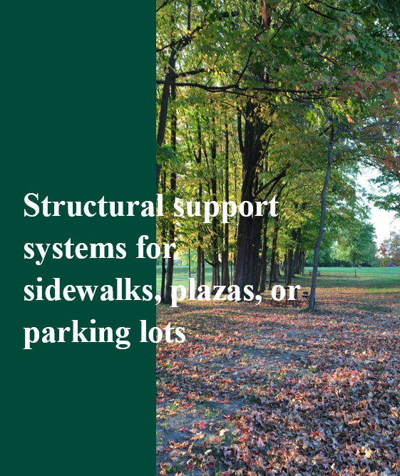 Text overlay on a park scene with trees showing autumn leaves, reading 'Structural support systems for sidewalks, plazas, or parking lots'.