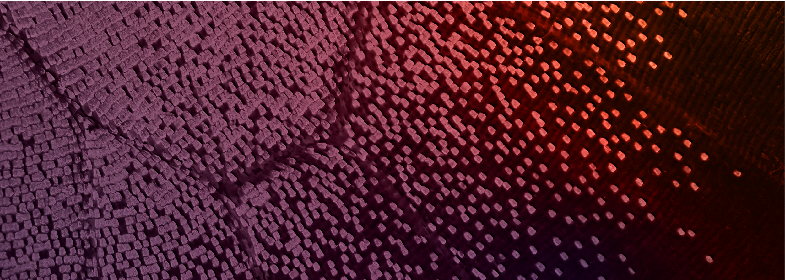 Close-up of a cross-section of a tree trunk showing growth rings and small wood particles, with a gradient lighting effect in purple, pink, and orange.