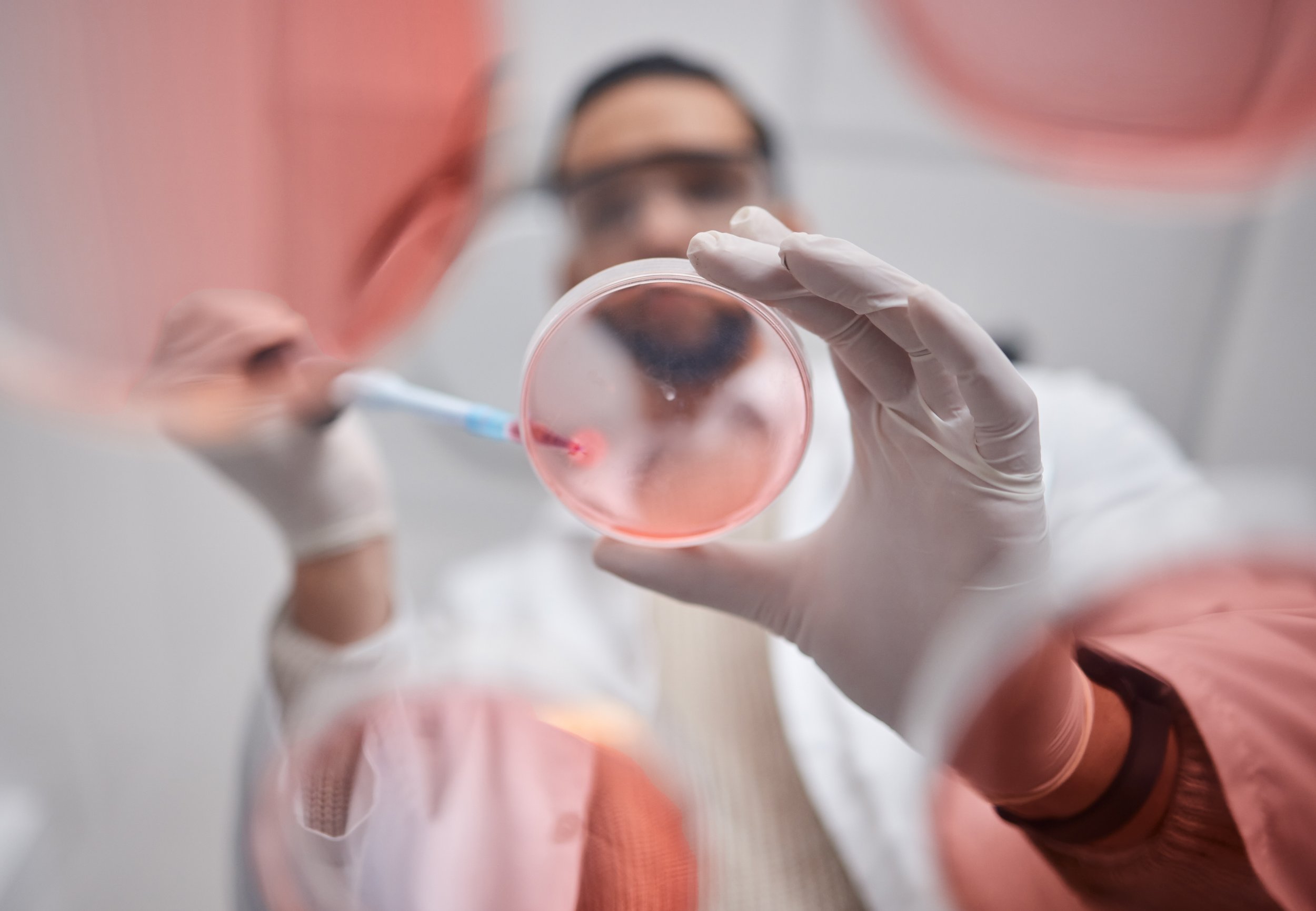 Scientist in a lab examining a petri dish with a red liquid, wearing gloves and protective glasses.