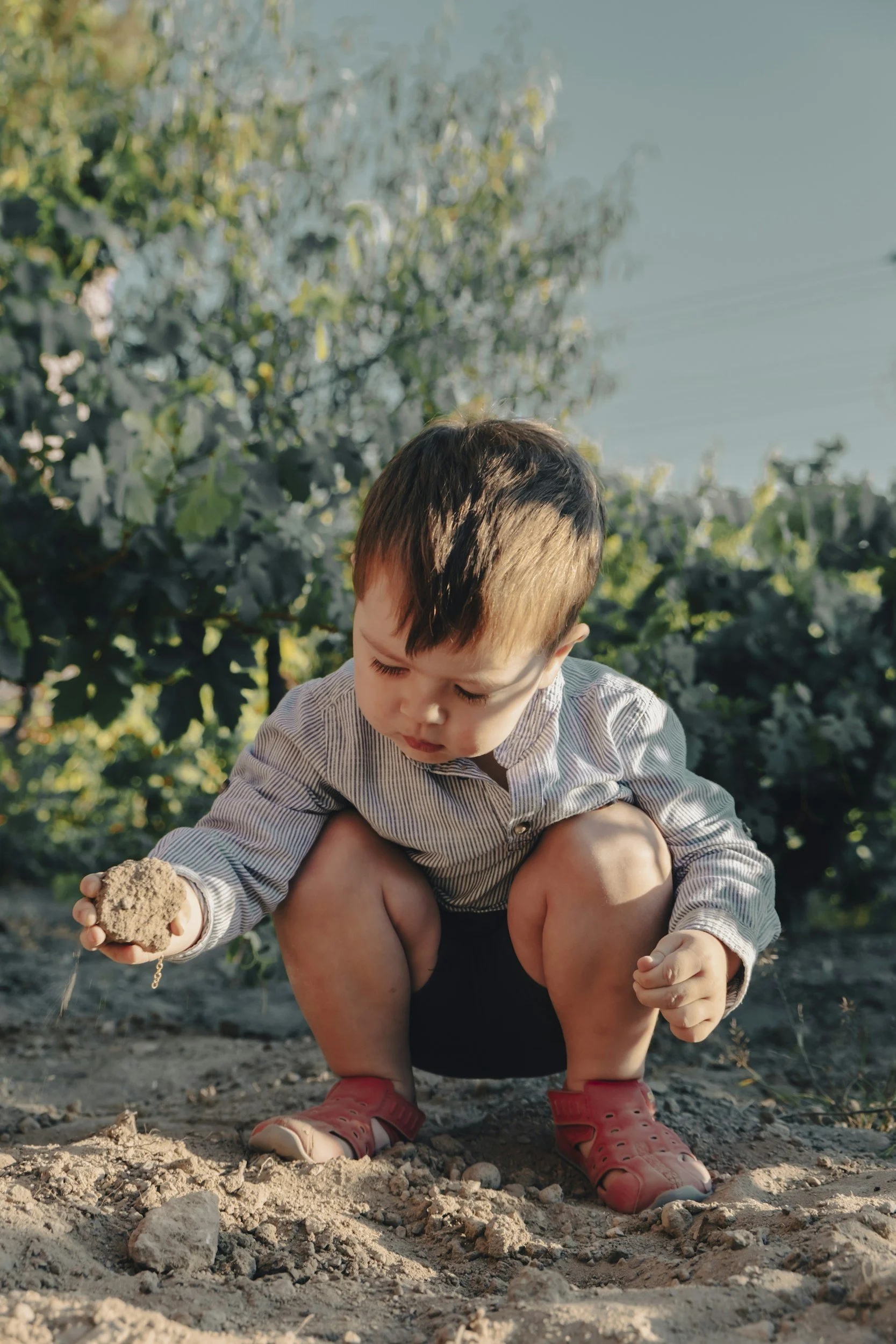 Un bambino con i capelli castani corti in piedi, che tiene in mano una palla di terra, mentre un adulto lo sostiene da dietro, in un giardino con piante verdi, abbigliato con una camicia a righe e scarpe rosse.