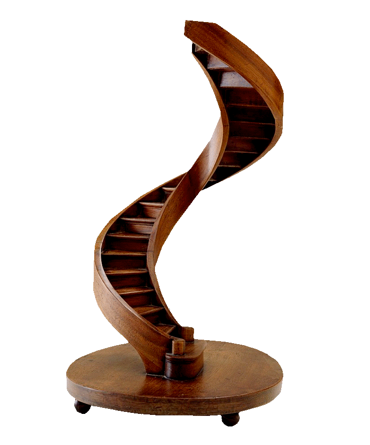 Animated gif of a series of photographs of sculptural, curved wooden staircase models.