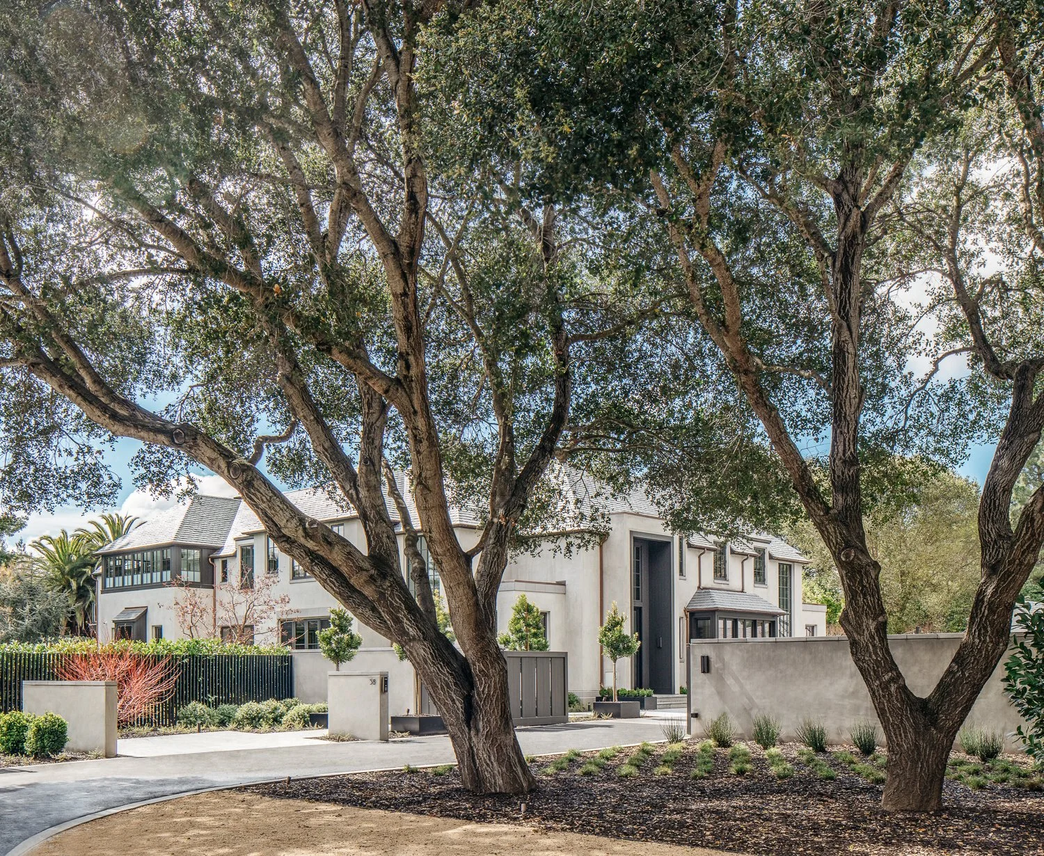 An exterior view of a large mature tree with textured bark in the foreground, with a building facade and landscaped grounds visible in the background.