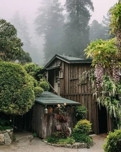 A photograph of Deetjen’s, the rustic Big Sur inn nestled among trees in a wooded landscape.