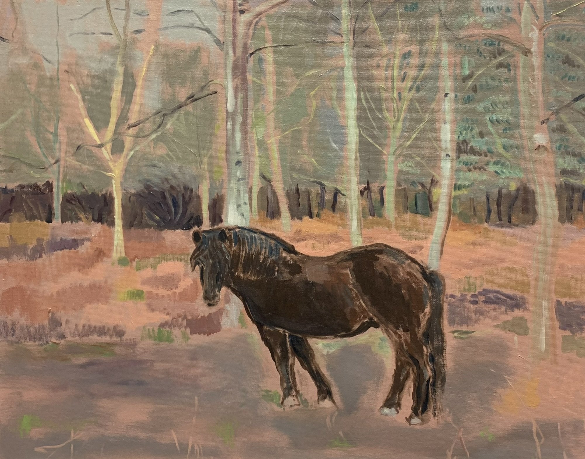 Silver Birch Pony 2026 41x51cm
