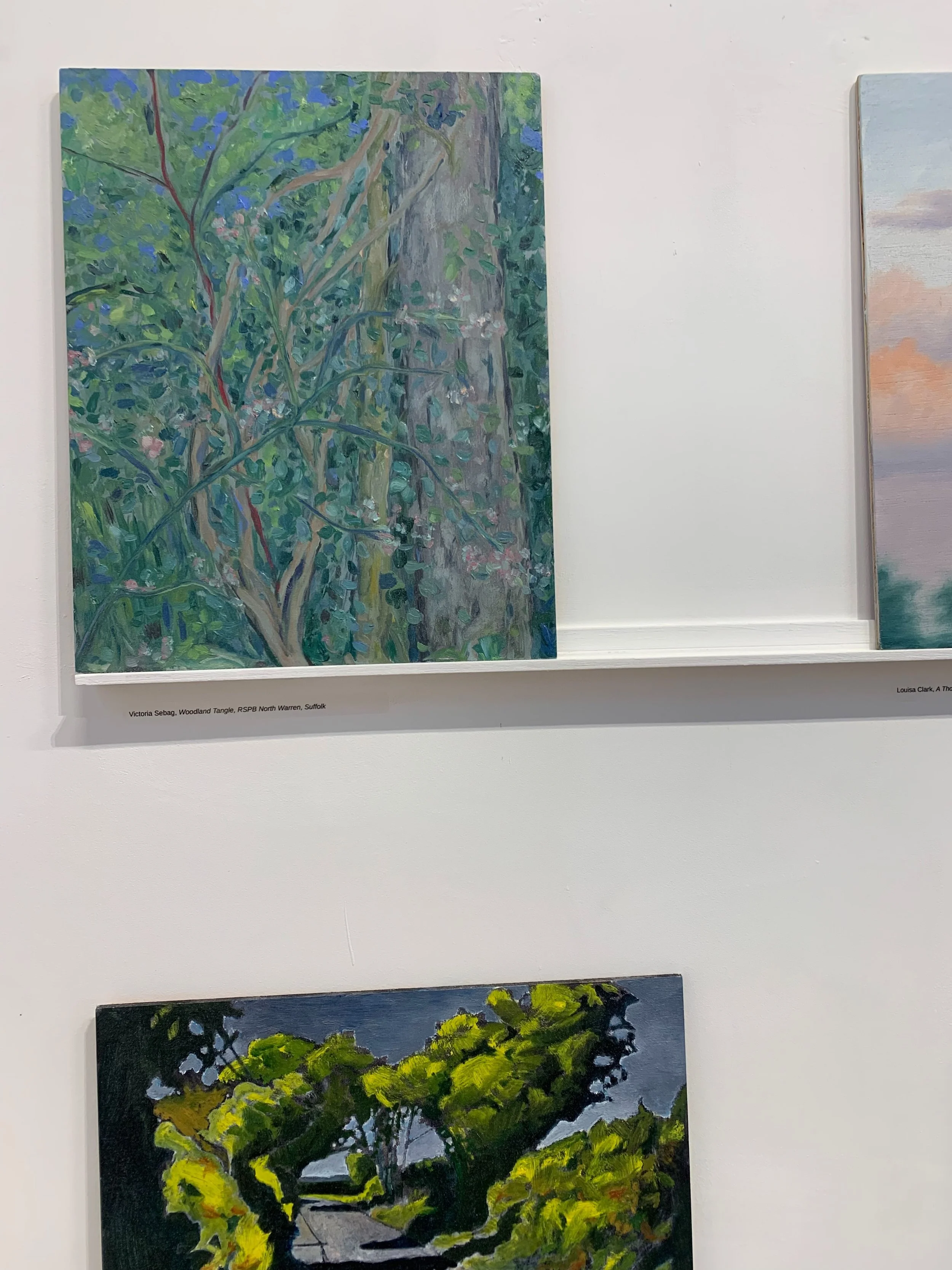 Woodland Tangle 2026 
*SOLD*

Beach in Flower, Thorpeness 2026
&pound;680 - available (image 3)

Showing at A Day in May @spiritstudios_suffolk @johnmartingallery 

Here are some of my favourites in the show: 
Image 4: @danpreece 
Image 5: @lucy_bris