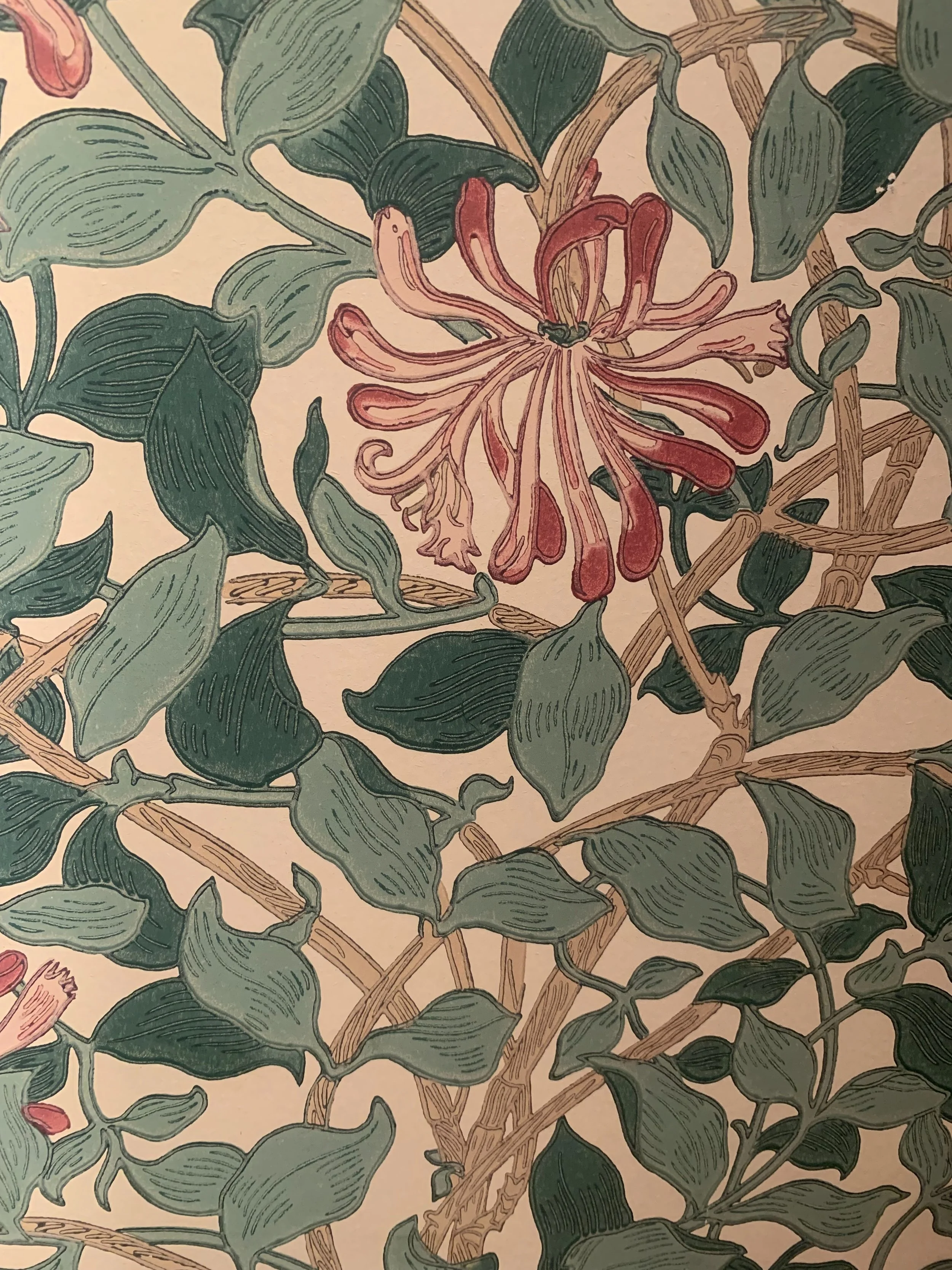 The Honeysuckle theme continues... This time at the wonderful William Morris museum at Kelmscott House, his home in Hammersmith on the River Thames. A beautiful and perfectly formed display of his work, including famous designs and drawings from his 