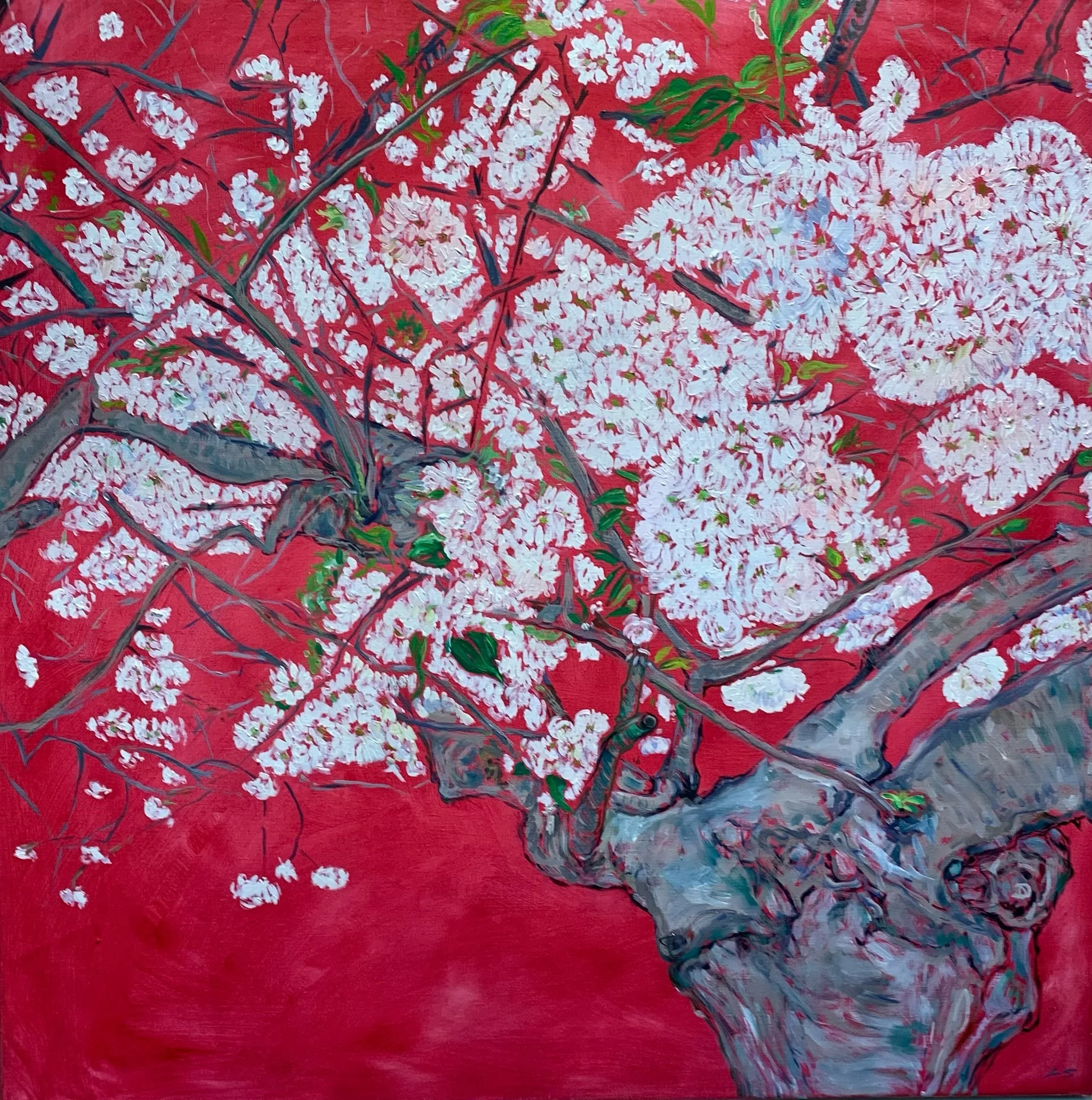 The Old Cherry Tree 2026
Oil on linen
70x70cm

Showing at COLOUR:Acc8rd
1-11 October 2026

340 Kings Road
London SW3 

#britishartist 
#ownart
#contemporaryartist 
#oilpainting
#cherrytree