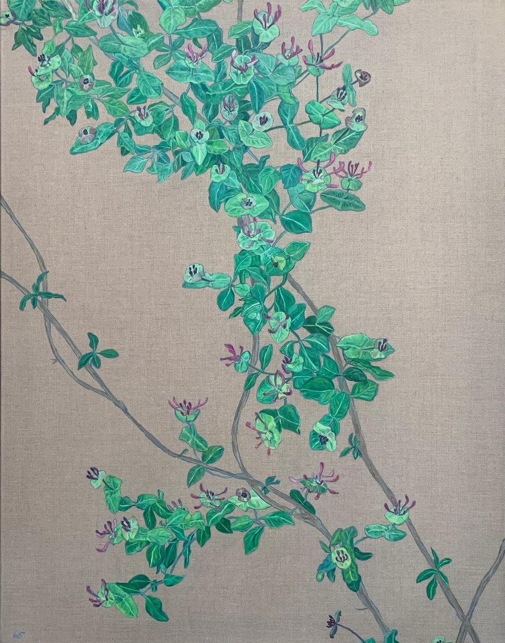 I&rsquo;m pleased to announce that this painting HONEYSUCKLE TWIST 2026 has SOLD and will be installed in a private residence in Bahrain.

#oilonlinen #ownart #oilpainting #wildplants #honeysuckle