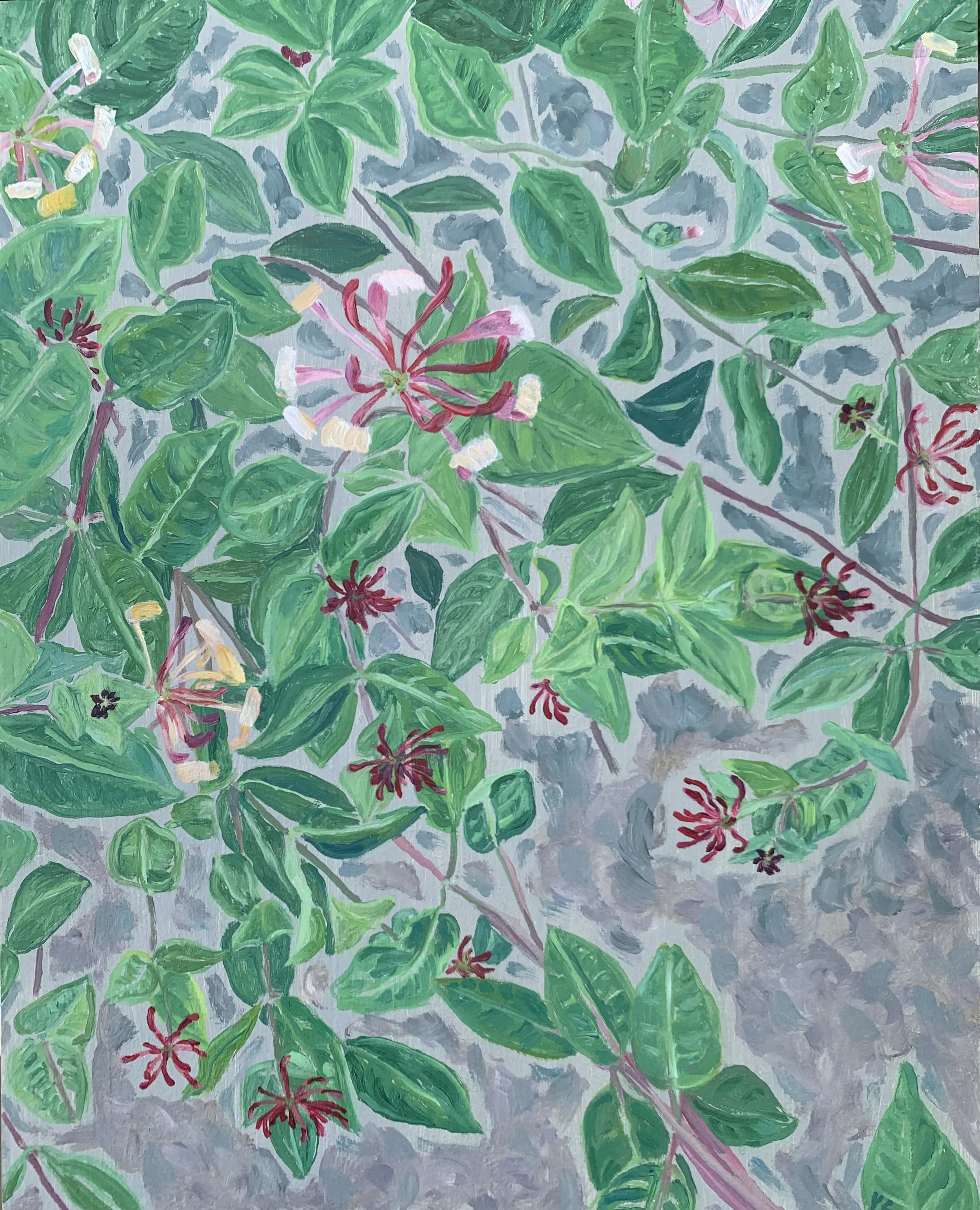 Honeysuckle Flowers, oil on board, 30x24cm £1050 on view: COLOUR @340 Kings Road