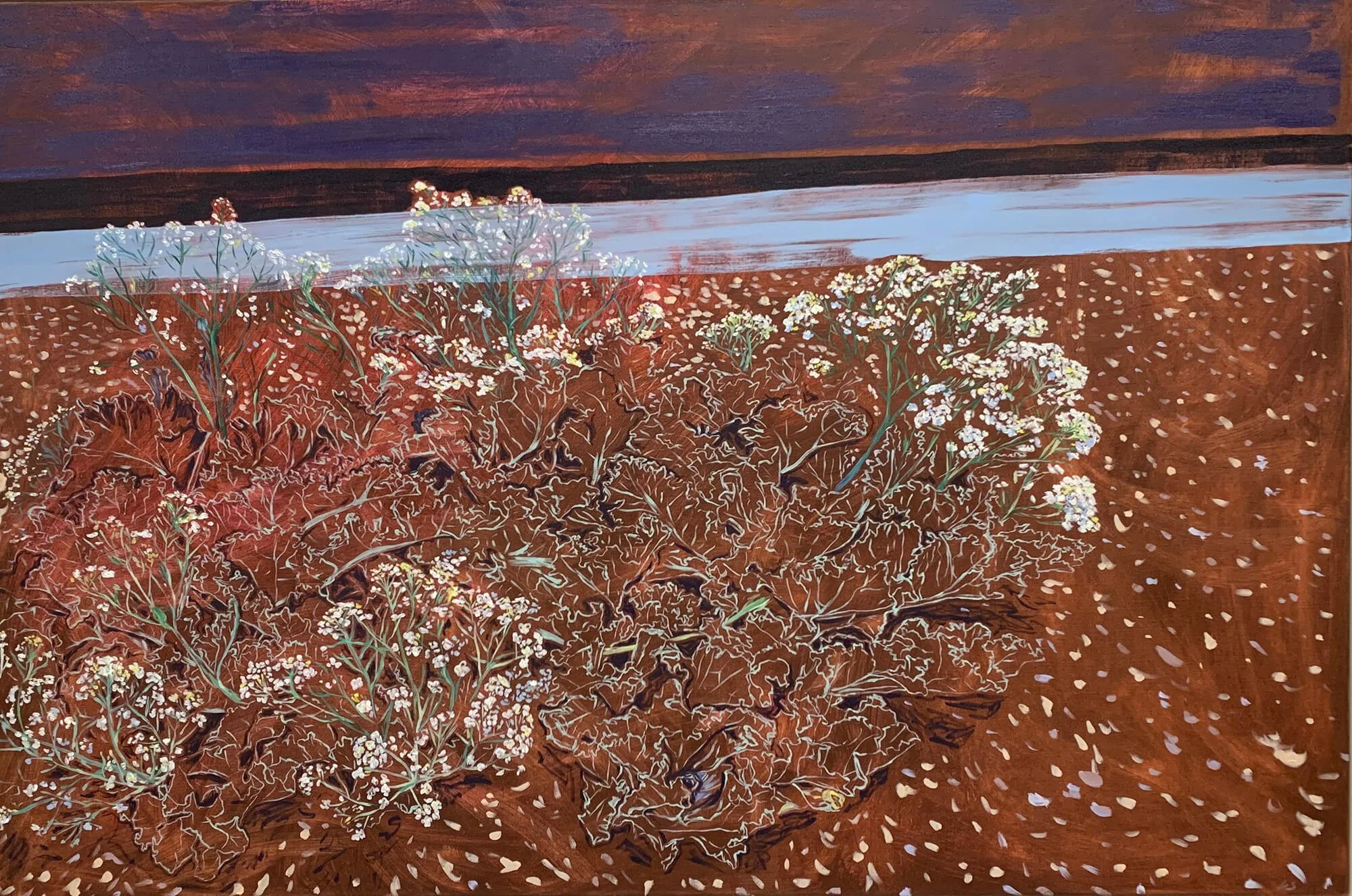 Sea Kale, midnight 2022.JPG