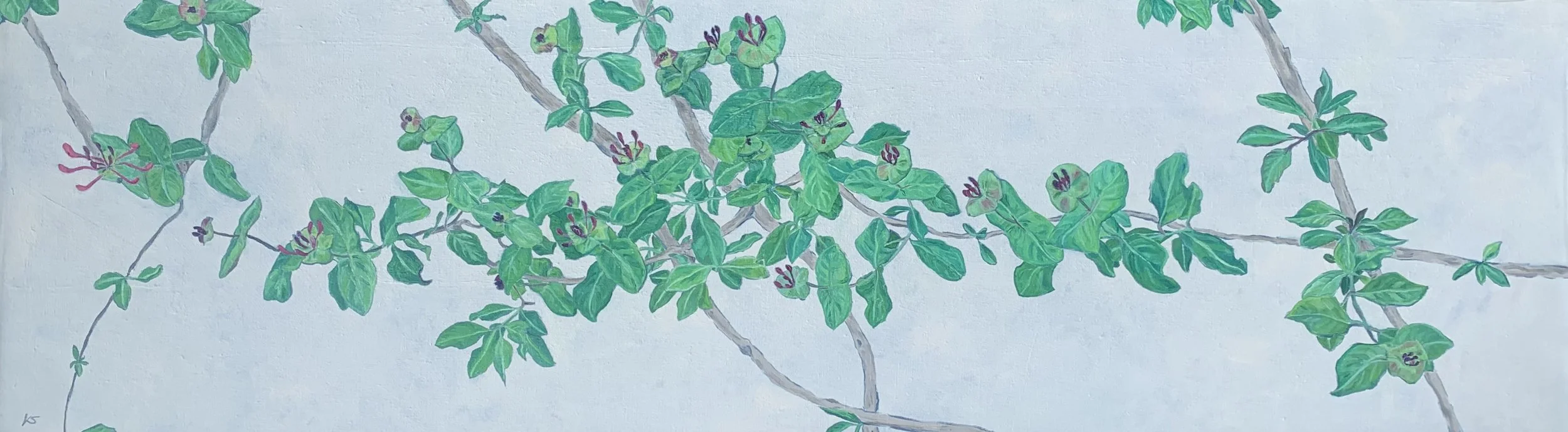 Honeysuckle Reach 2026, oil on linen, 35x121cm SOLD