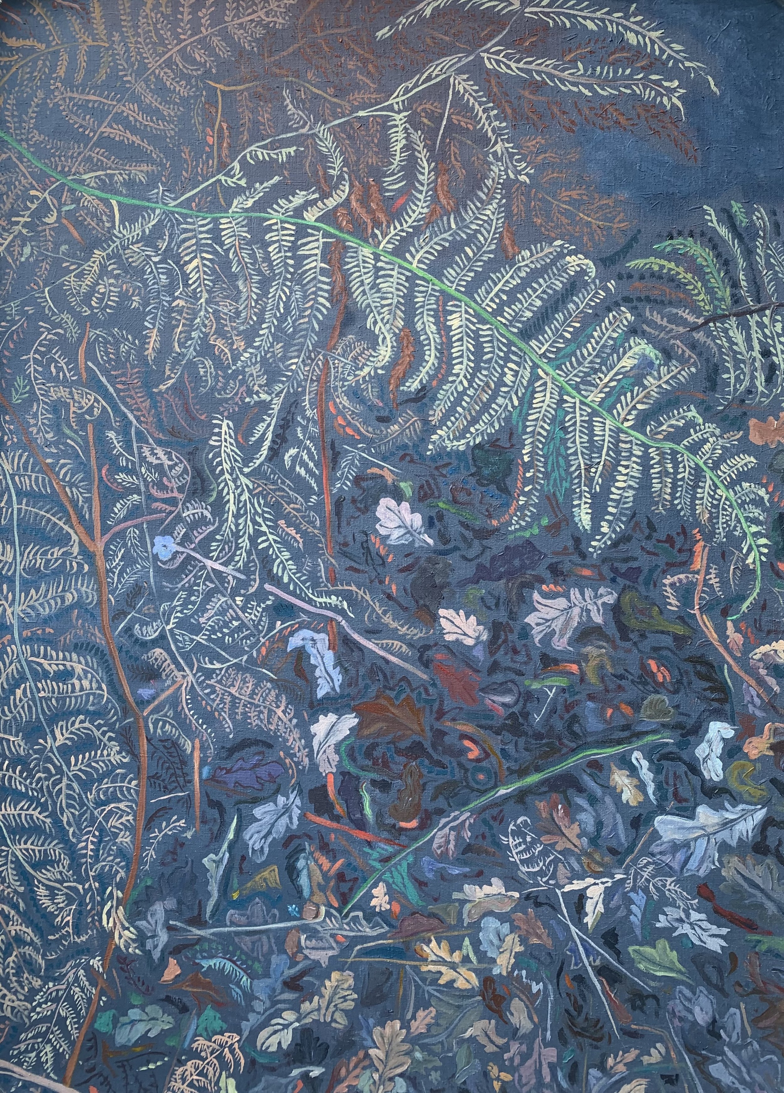 Bracken Landscape II, oil on linen, 70x50cm £1850 on view: COLOUR @340 Kings Road