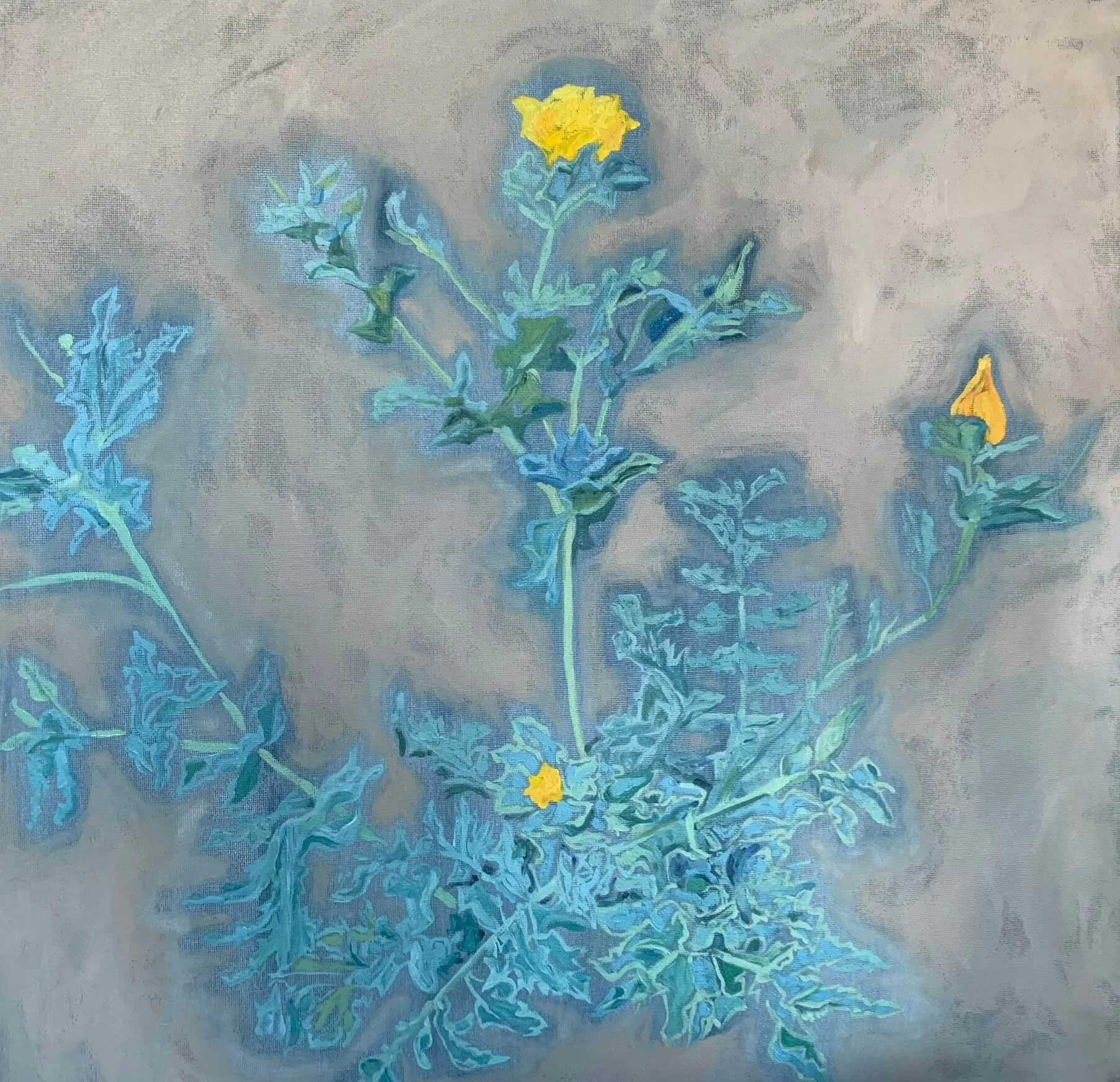 Sea Poppy 2026 50x50cm