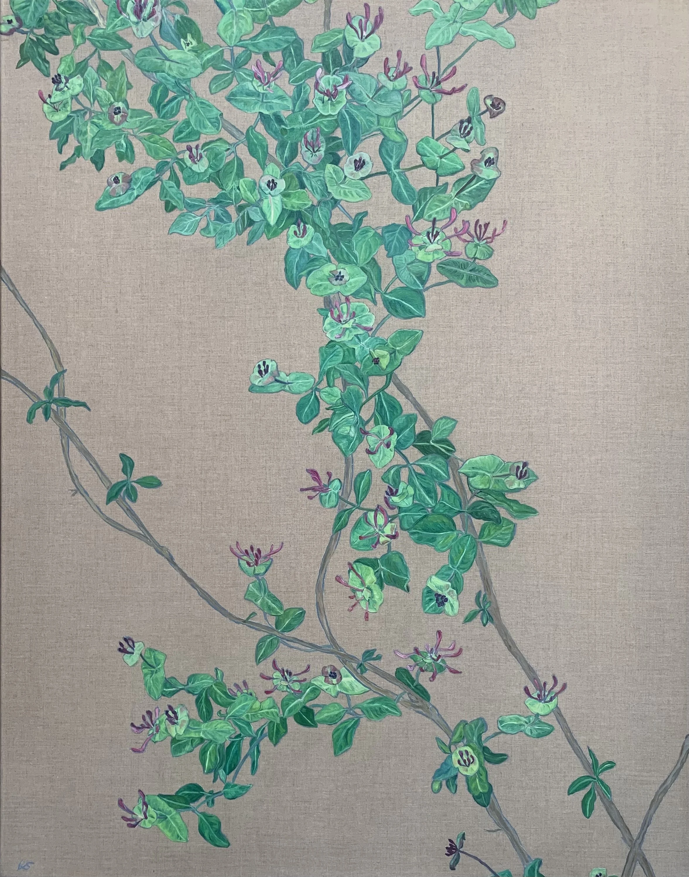 Honeysuckle Twist 2026, oil on linen, 70x90cm SOLD