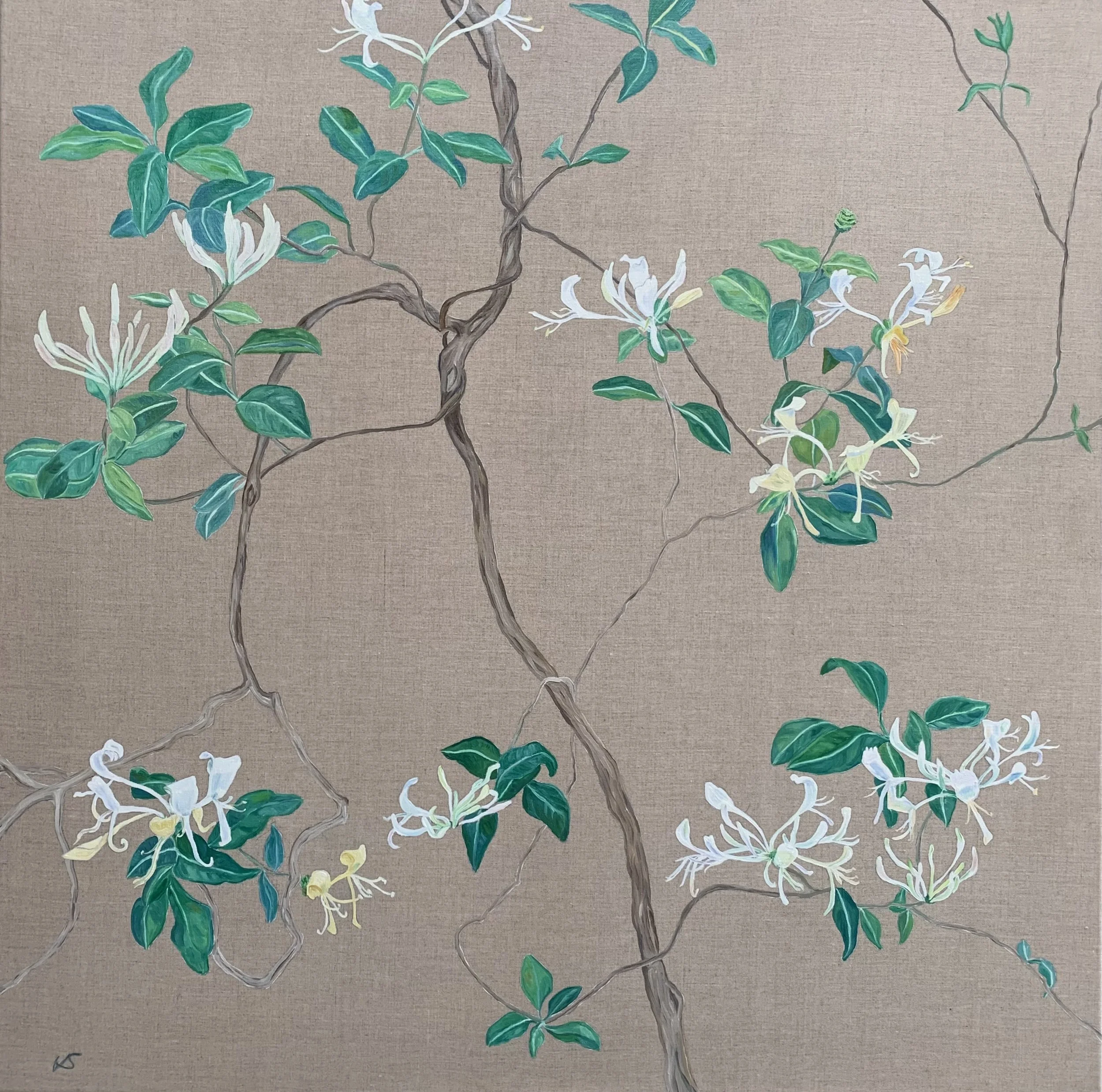 Wild Tree Honeysuckle 2026, oil on linen, 70x70cm £3100  on view: COLOUR @340 Kings Road