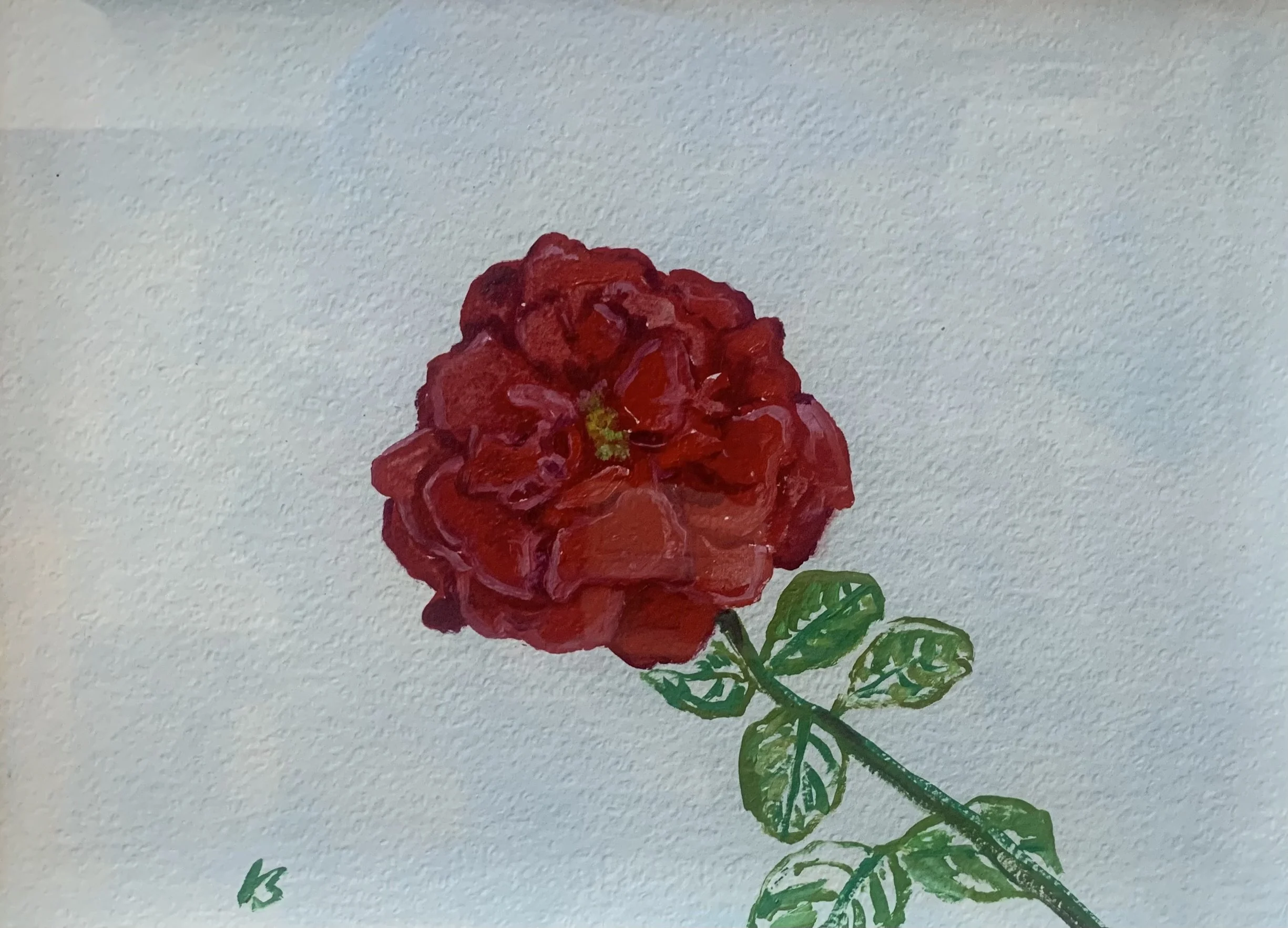Wild Rose, oil & acrylic on paper, 27x37.5cm £1050 on view: COLOUR @340 Kings Road