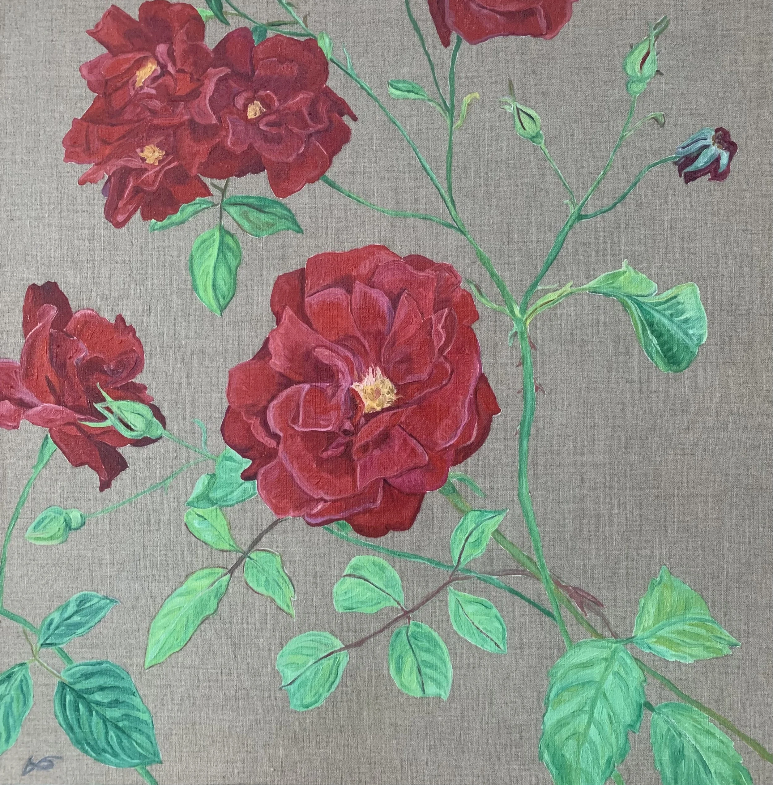 Red Roses II 2026, oil on linen, 45x45cm £1850 on view: COLOUR @340 Kings Road