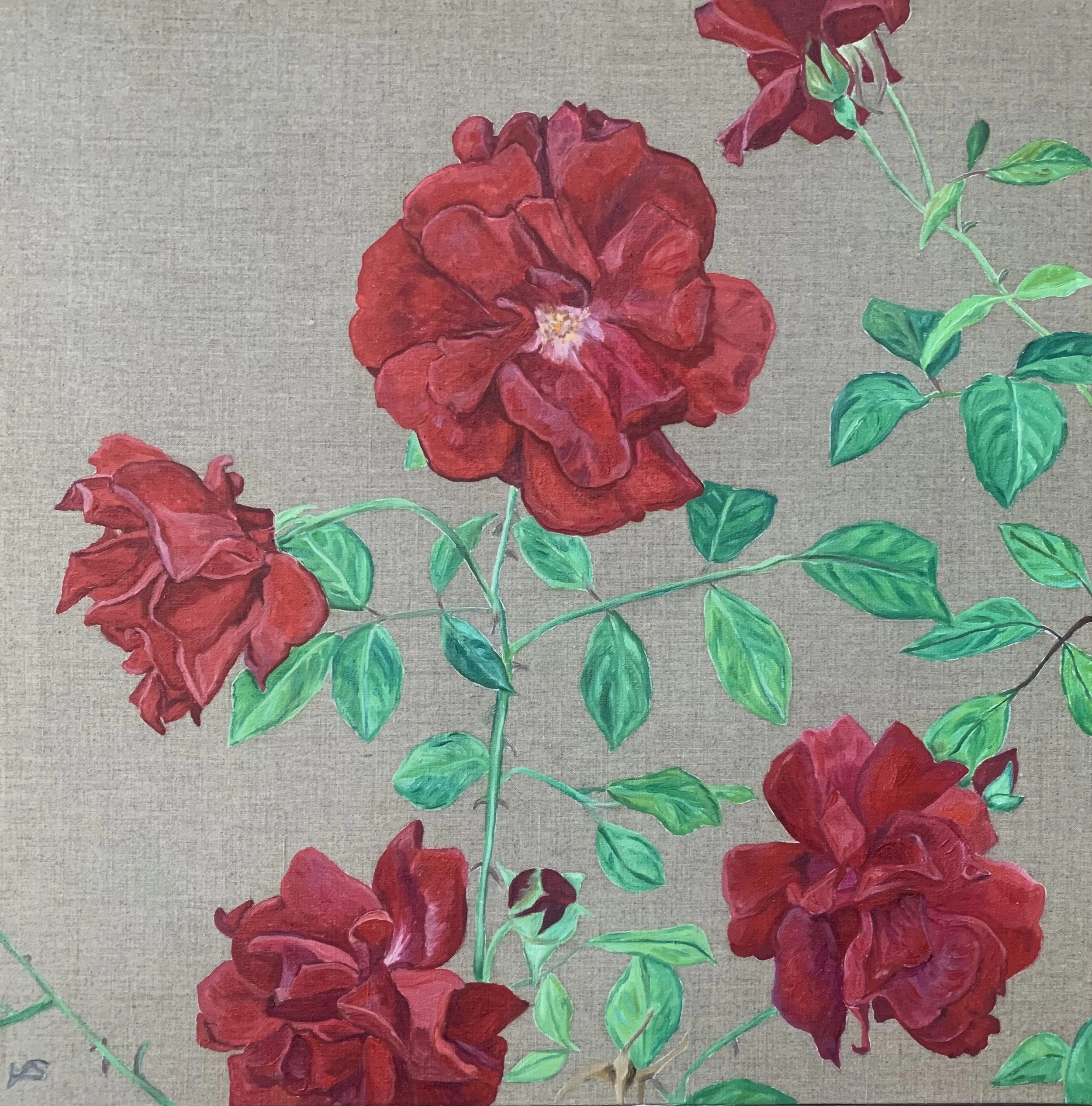 Red Roses I 2026, oil on linen, 45x45cm £1850 on view: COLOUR @340 Kings Road