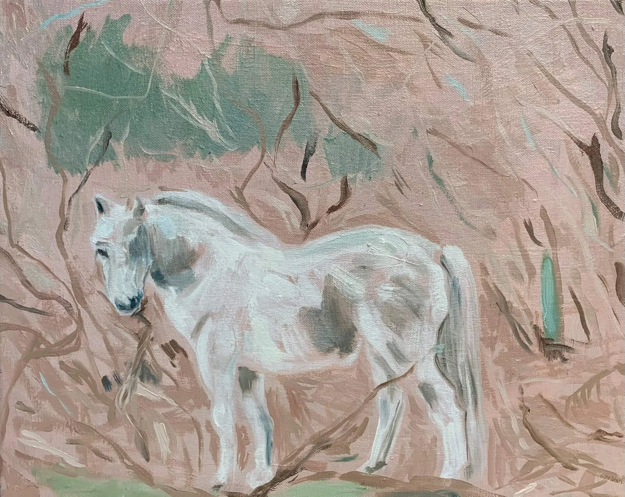 Pony in the Gorse 2026 24x30cm