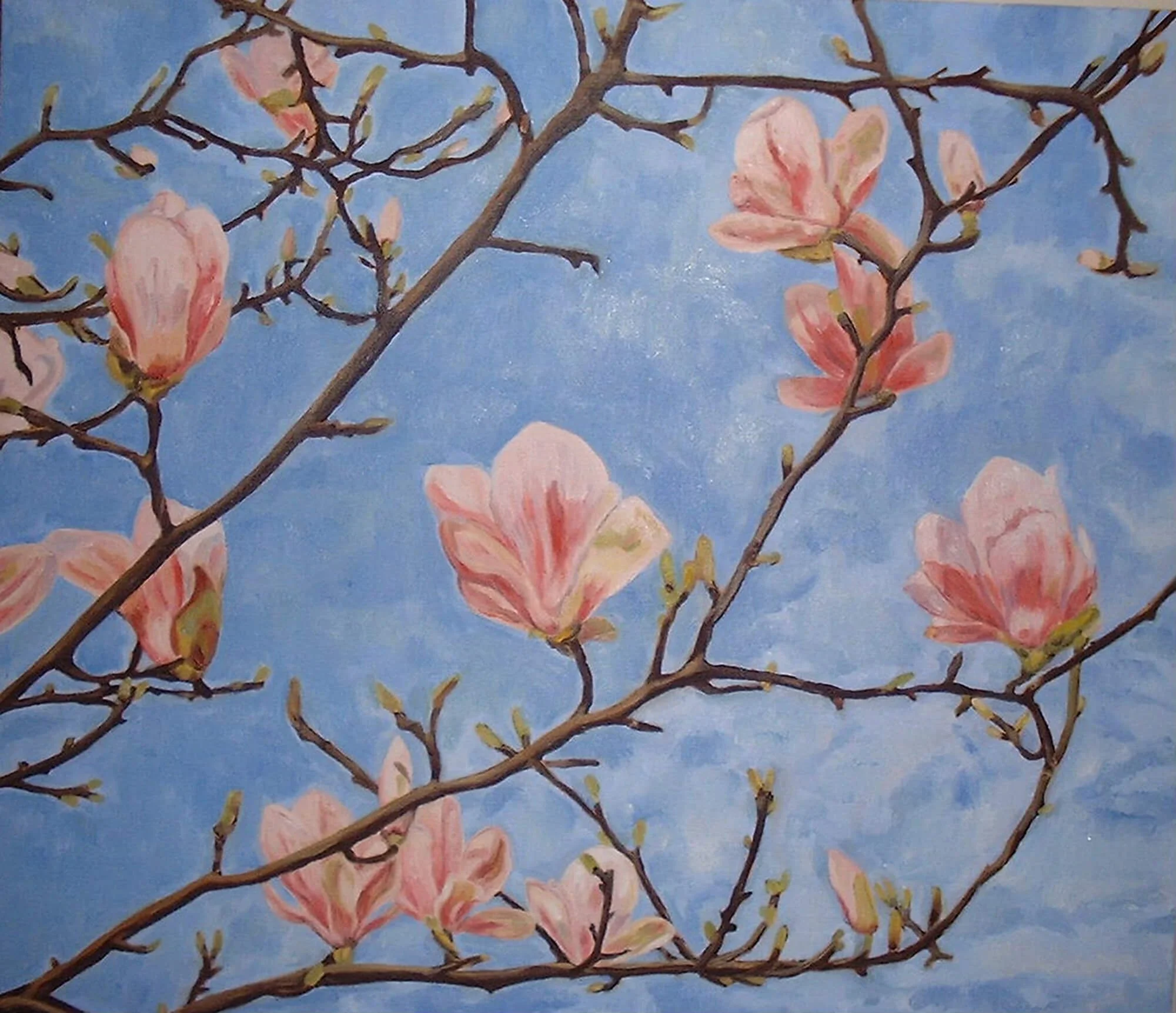 04-magnolia flowers.JPG