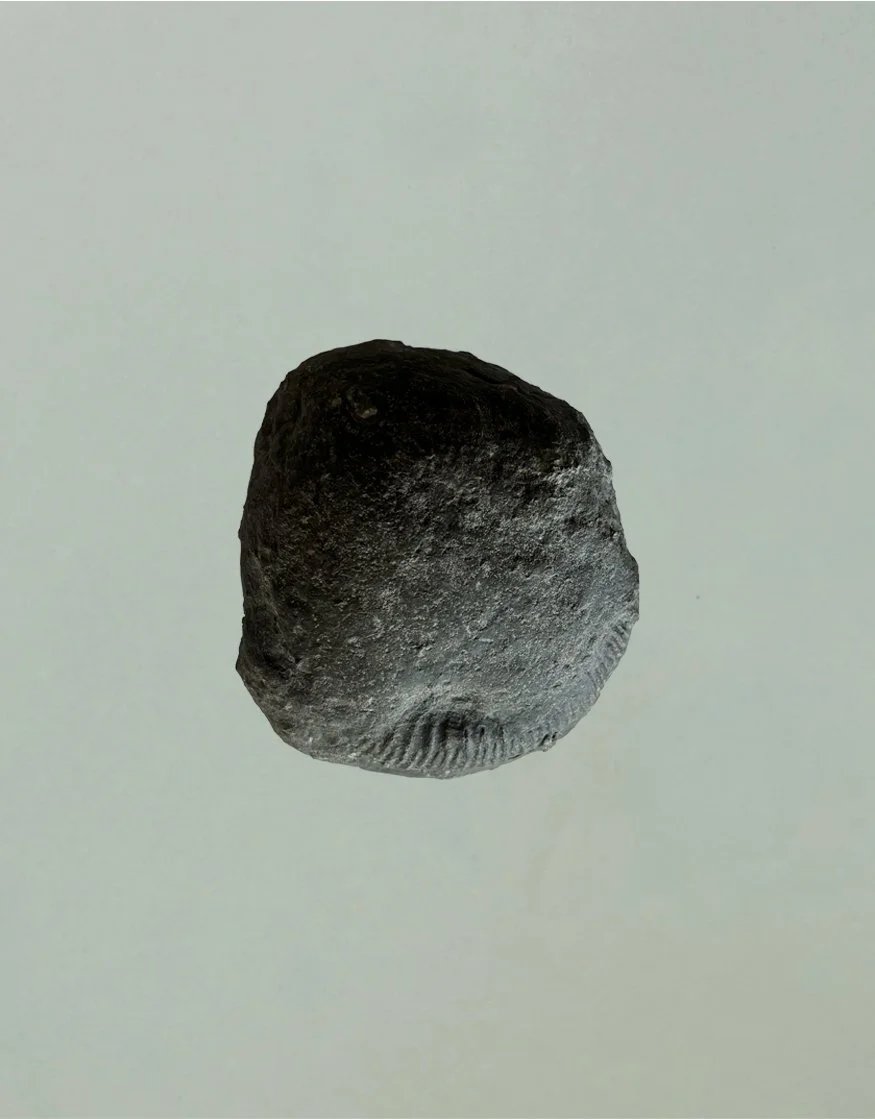 ii