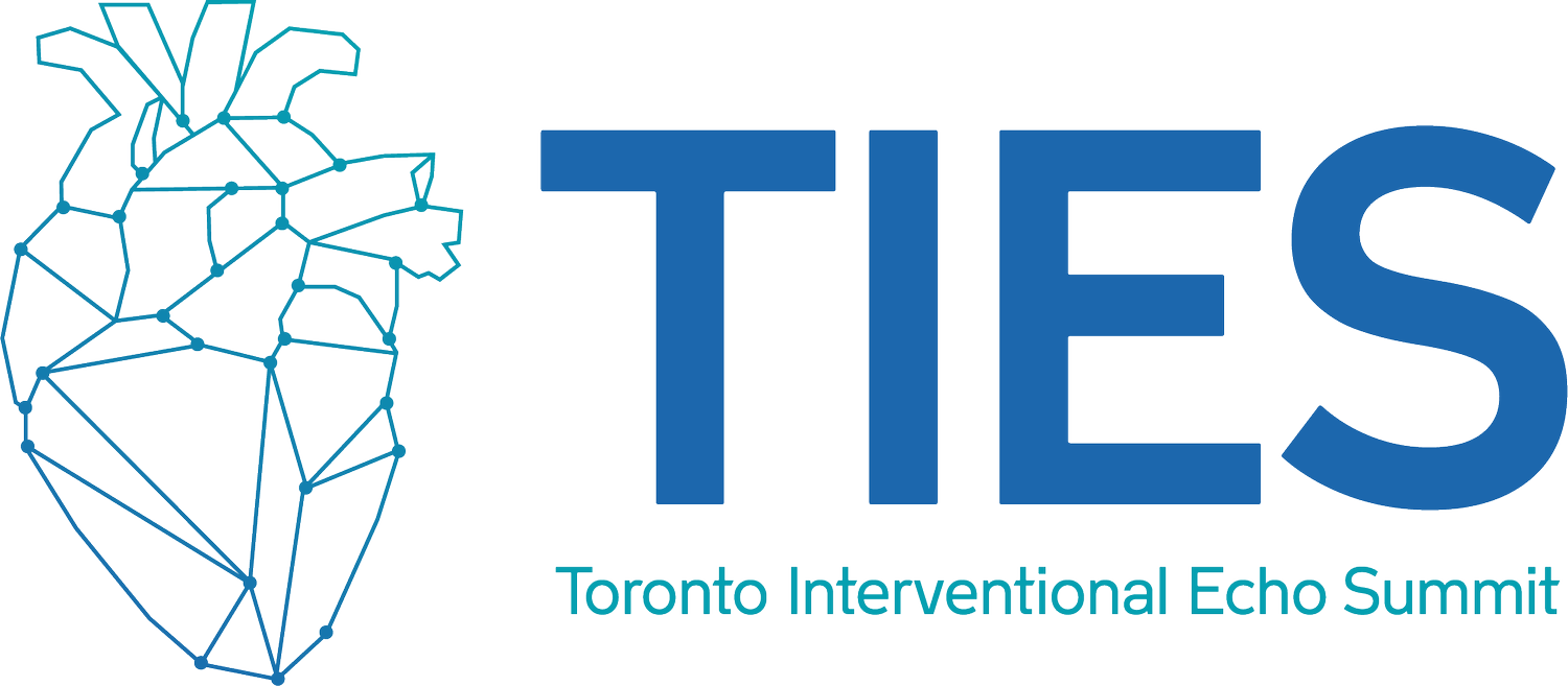 Toronto Interventional Echo Summit