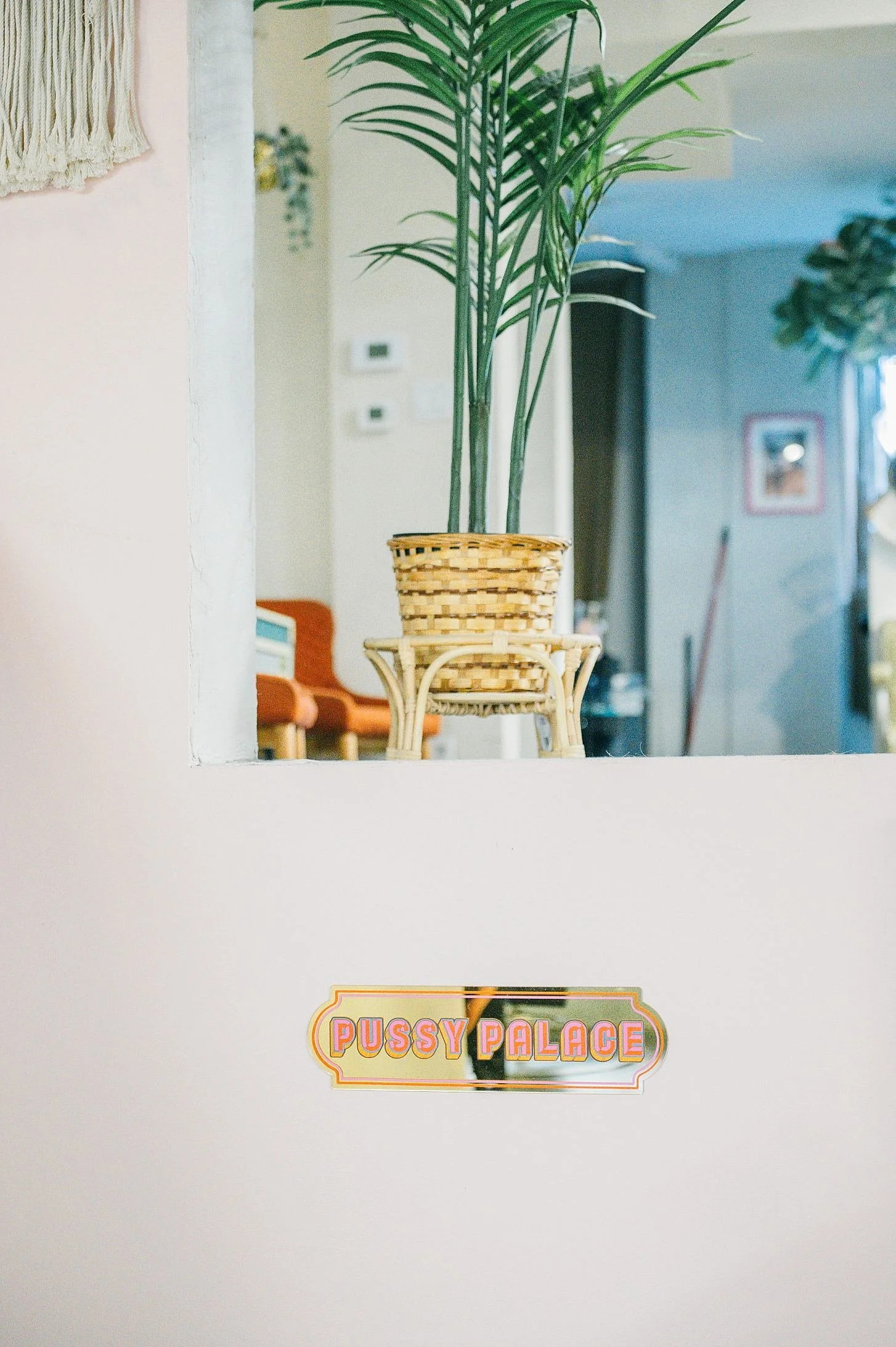 A potted plant with tall, green fronds in a woven basket sitting on a small stool, with a pink wall and a colorful sign that says "Pussy Palace" below the window.