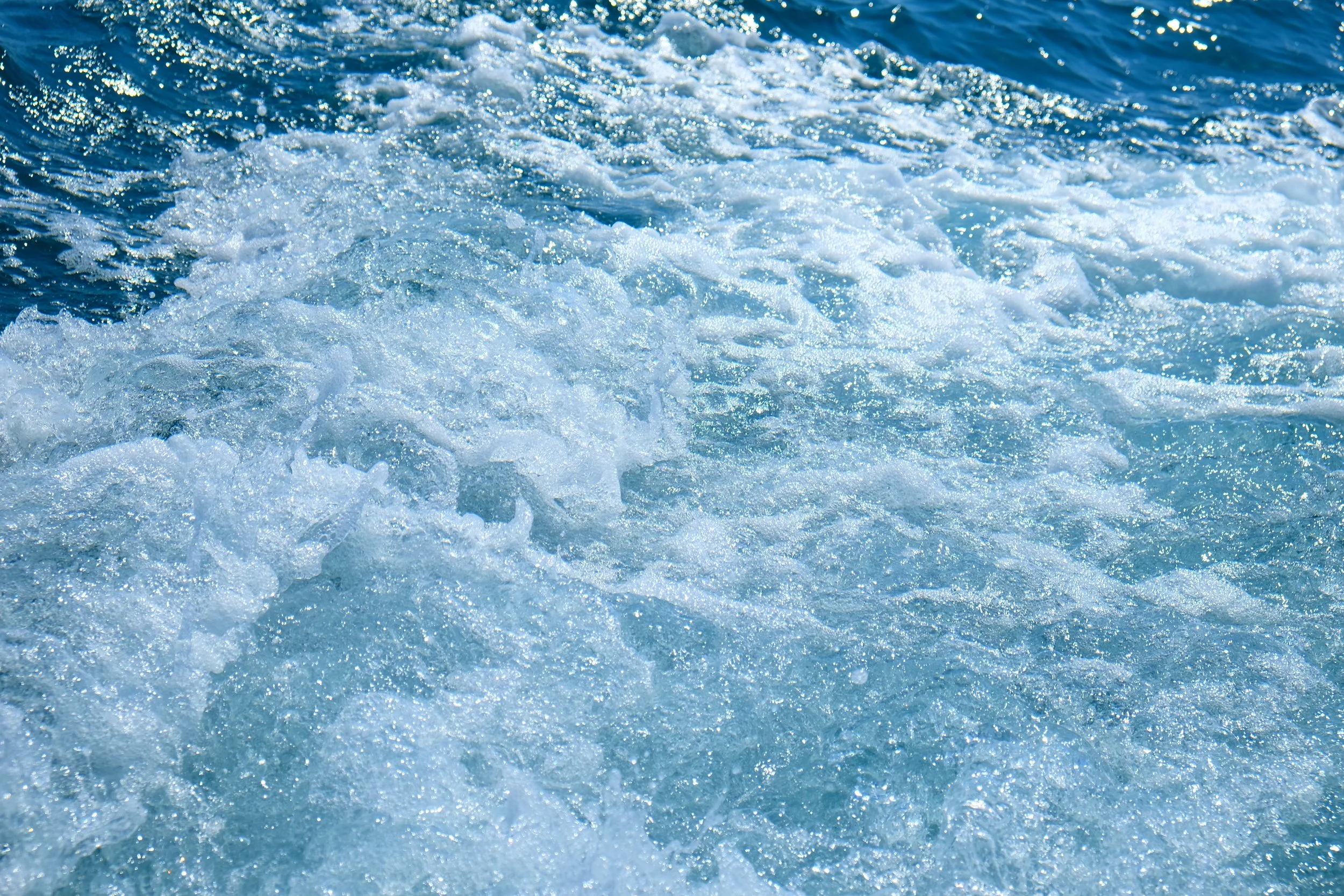 DSCF0499.JPG