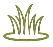 Illustration of green grass blades