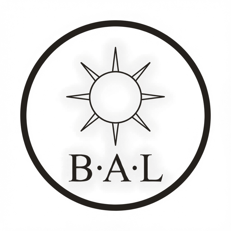Author seal of B. A. Lumin