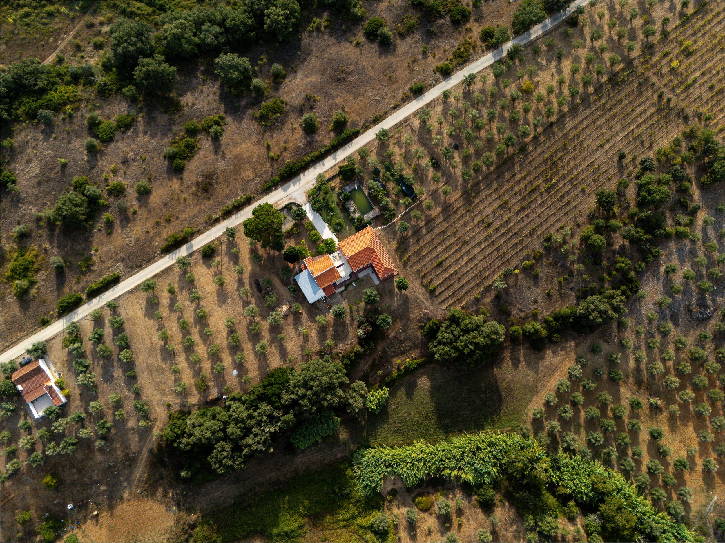 17082026-DJI_20260817181227_0014_D-HDR.jpg