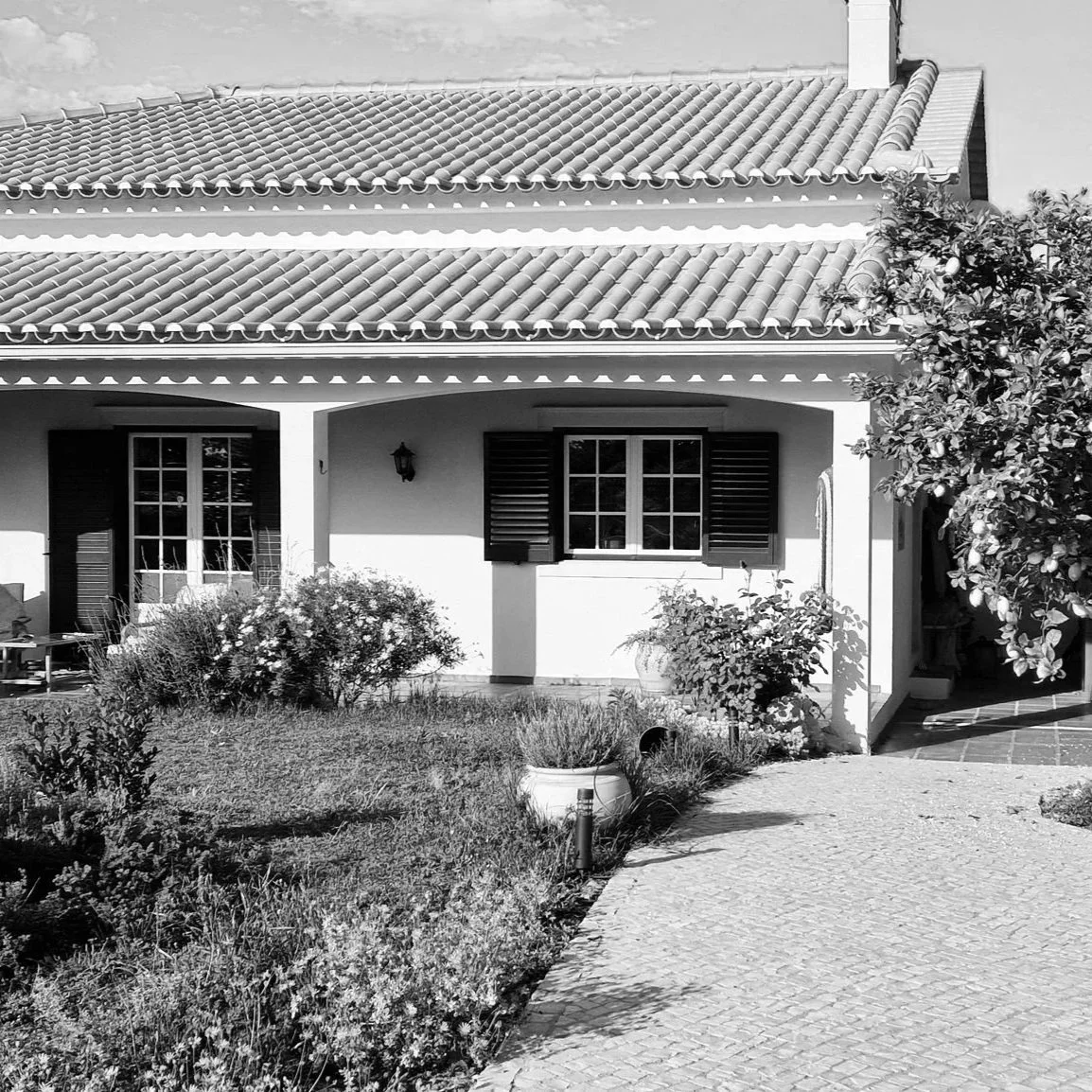 Exterior Views