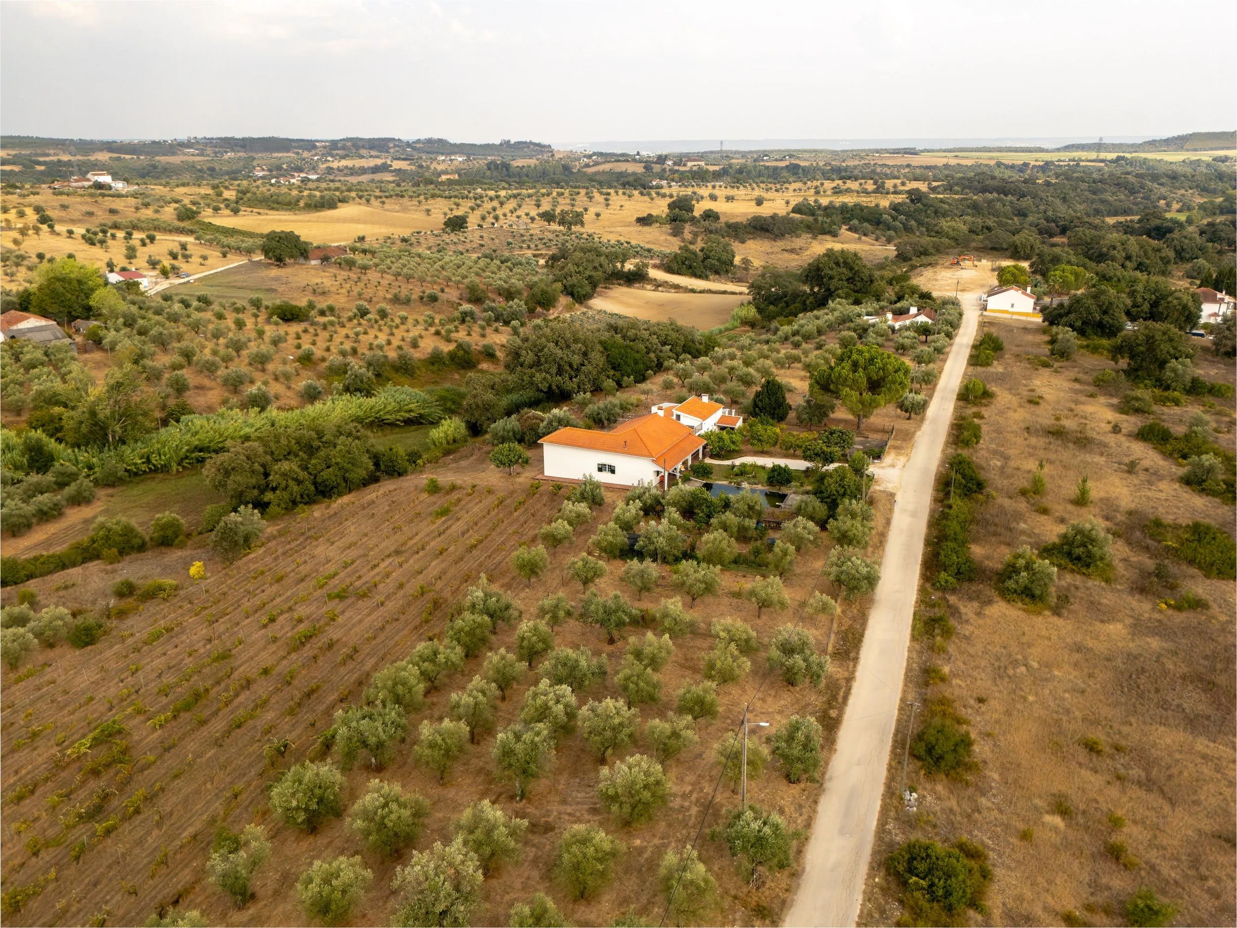 17082026-DJI_20260817181747_0038_D-HDR.jpg