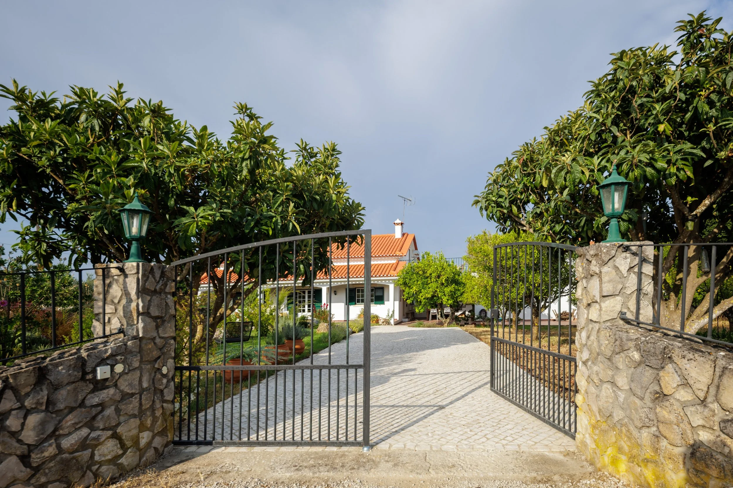 17082026-PM_10457-HDR.jpg