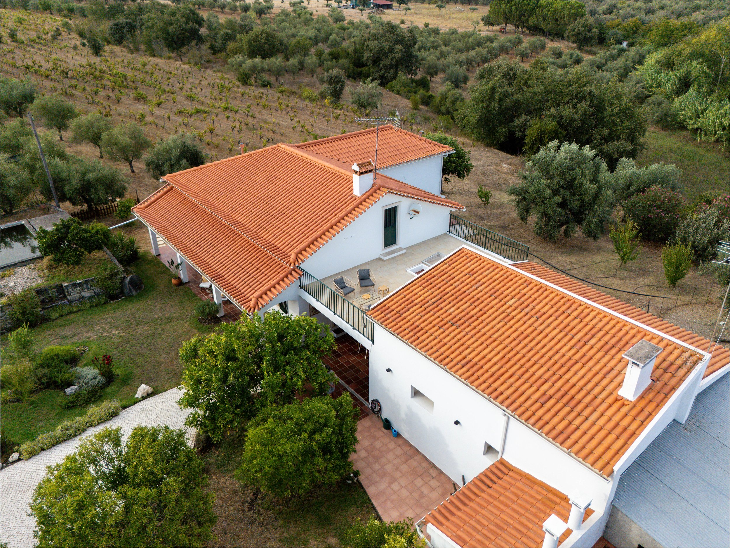 17082026-DJI_20260817182140_0058_D-HDR.jpg