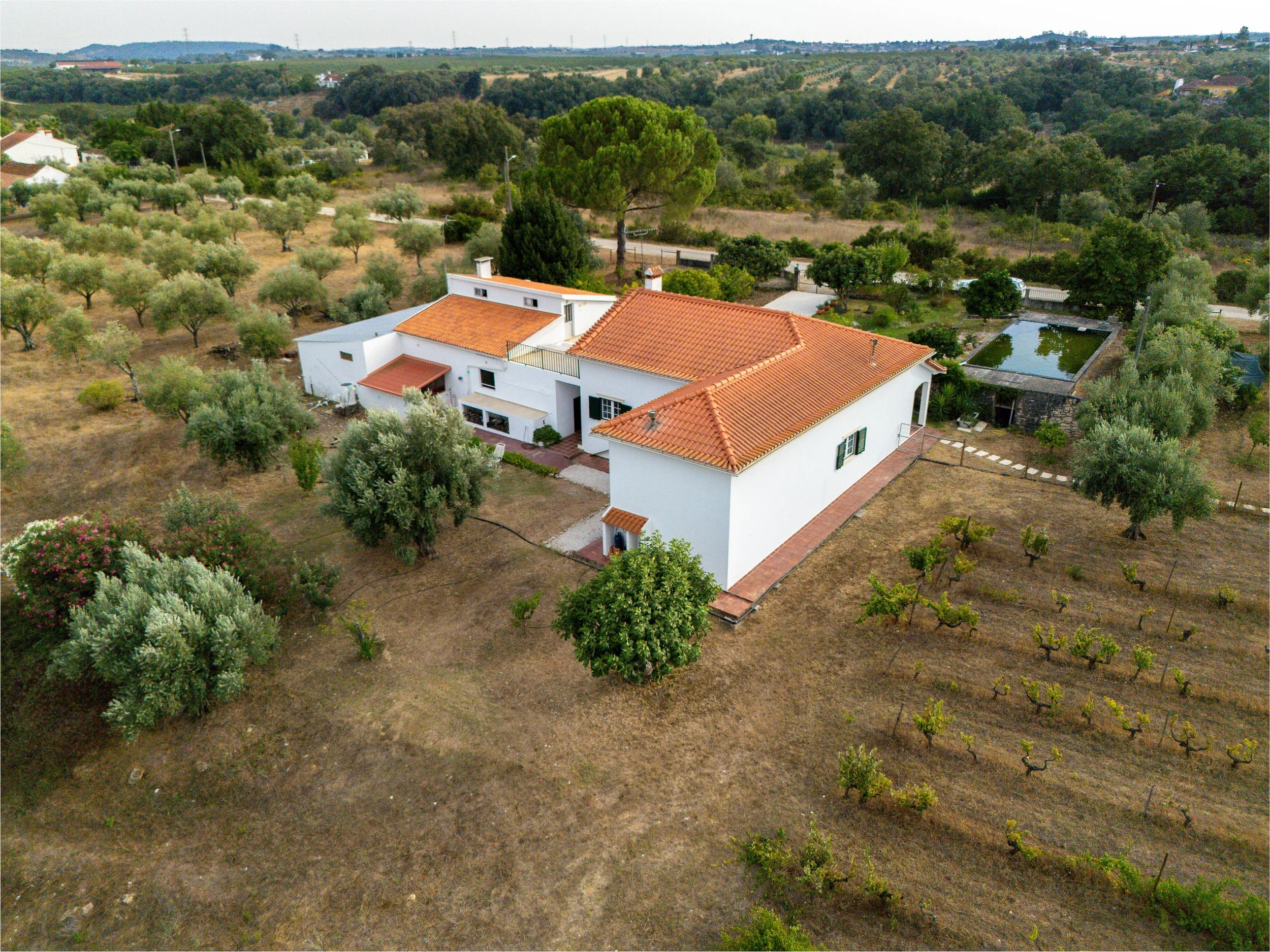 17082026-DJI_20260817183053_0114_D-HDR.jpg